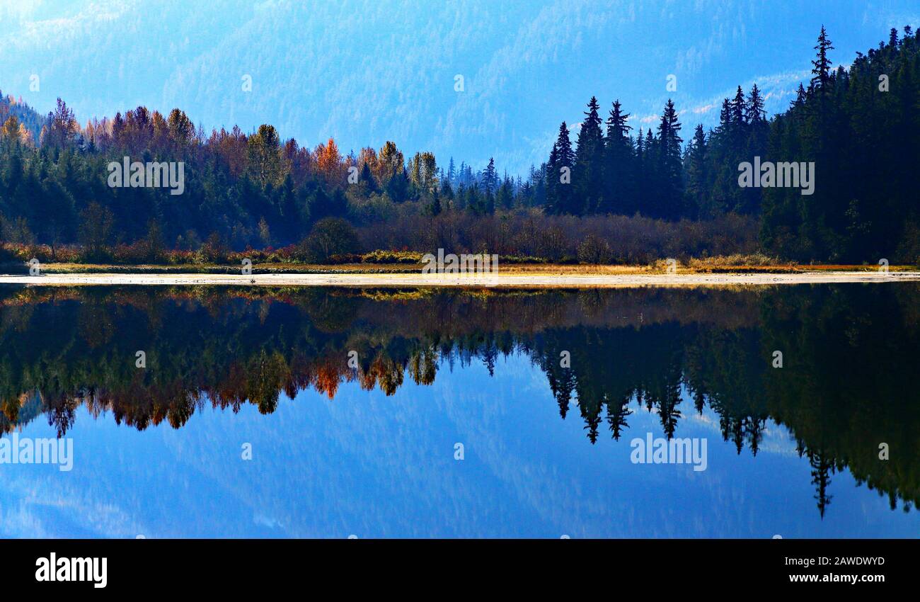 Lago che riflette una foresta autunnale lungo la valle del fiume Nass tra Terrace e Gitlaxt'aamik Foto Stock