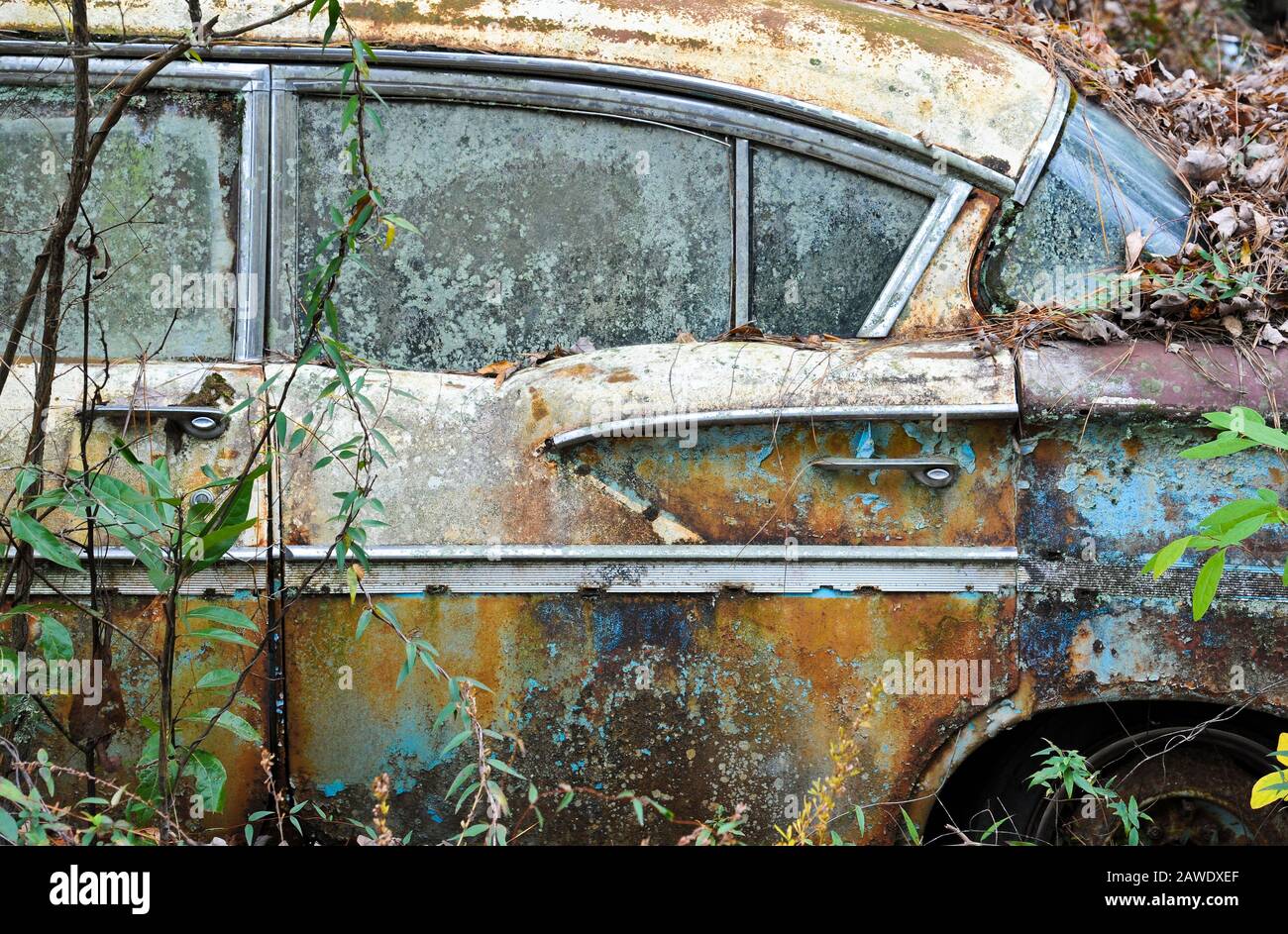Una vecchia auto arrugginita rottamazione che è stato abbandonato nei boschi Foto Stock