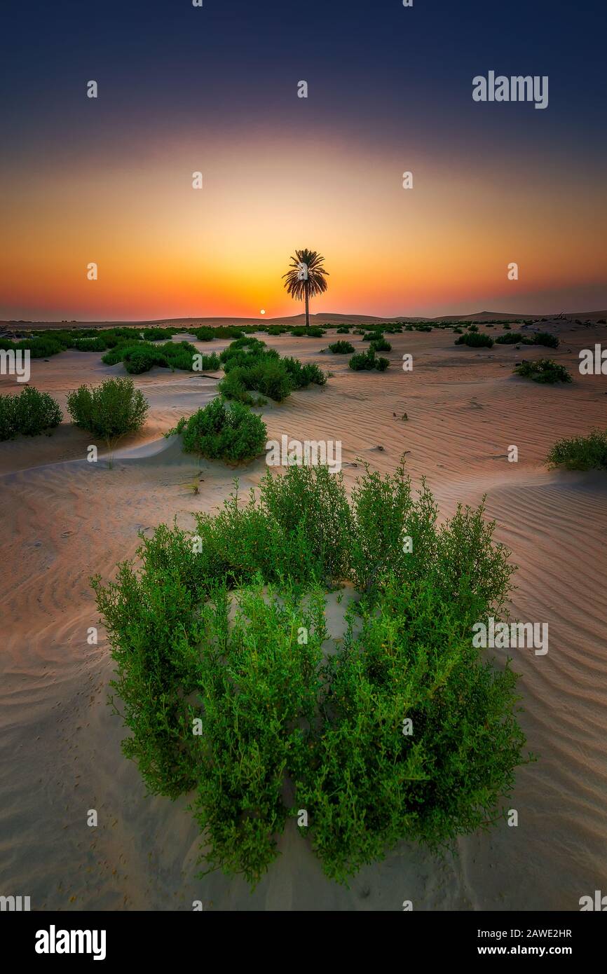 Bel Tramonto Nel Deserto In Arabia Saudita Al Hasa. Foto Stock