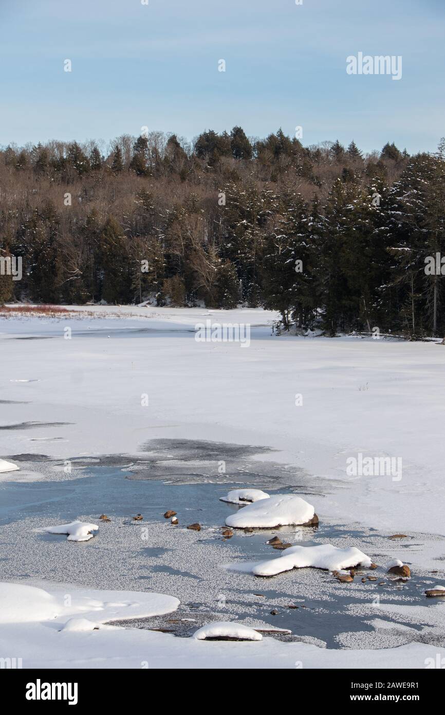 Un lago innevato sotto cielo azzurro in una giornata invernale nel nord dell'Ontario e foresta sempreverde che costeggia la riva. Foto Stock