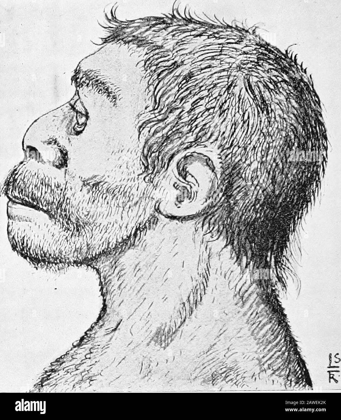 Un'introduzione allo studio dell'evoluzione sociale; il periodo preistorico . Da Birkner, Der Diinvialo Mcn.Cl, In Europa. Figura 35. Arpooni ossei e Incisioni Su Osso di tl,e Magdalenian Epoch. 86 EVOLUZIONE SOCIALE F. Da Purror, UrueschiohtQ des Europiicrs. FicrKE 30. Aborip-l'uomo dell'epoca Moustoviana. (Designedby Dr. R. Forrer e Leo Schnus). Cambiamenti climatici e tlie avanzando ghiaccio slieet. AYiththe rinvenimento della tlie clima il foglio di ghiaccio sciolto liack, sulla sua scia, uomini e animali di nuovo premuto a nord. Secoli Itrequired per questi cambiamenti e la memoria e la tradizione di un ha settentrionale Foto Stock