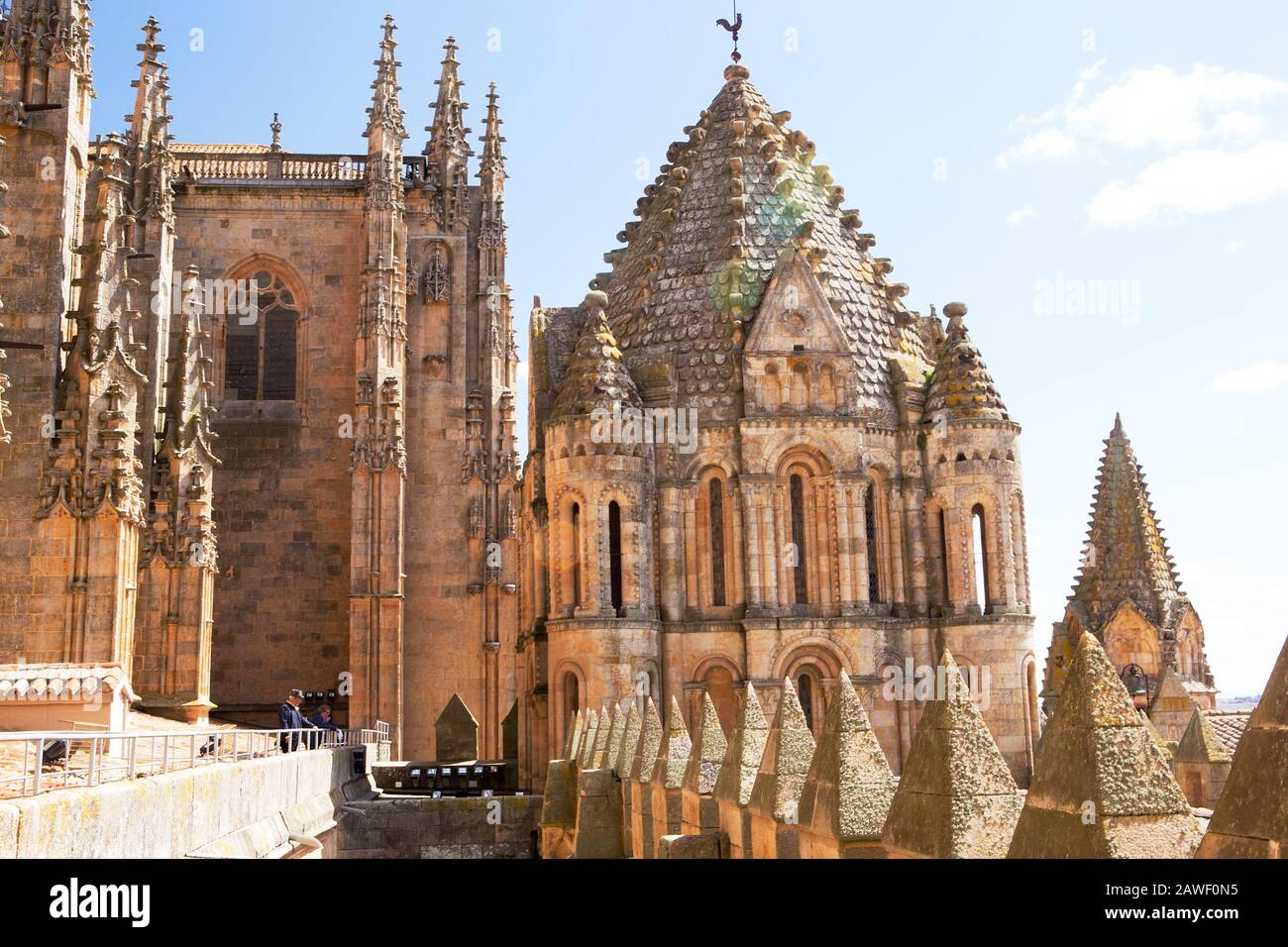 Sul tetto della vecchia cattedrale di Salamanca, Spagna Foto Stock