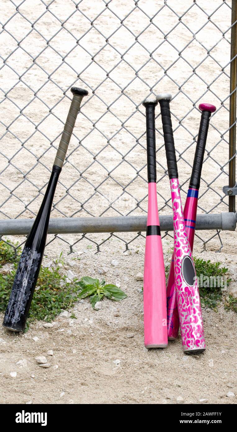 Un pipistrello di legno nero si siede vicino ai pipistrelli di baseball rosa graziosi, perfetti per le ragazze piccole su questa squadra di baseball della lega piccola Foto Stock