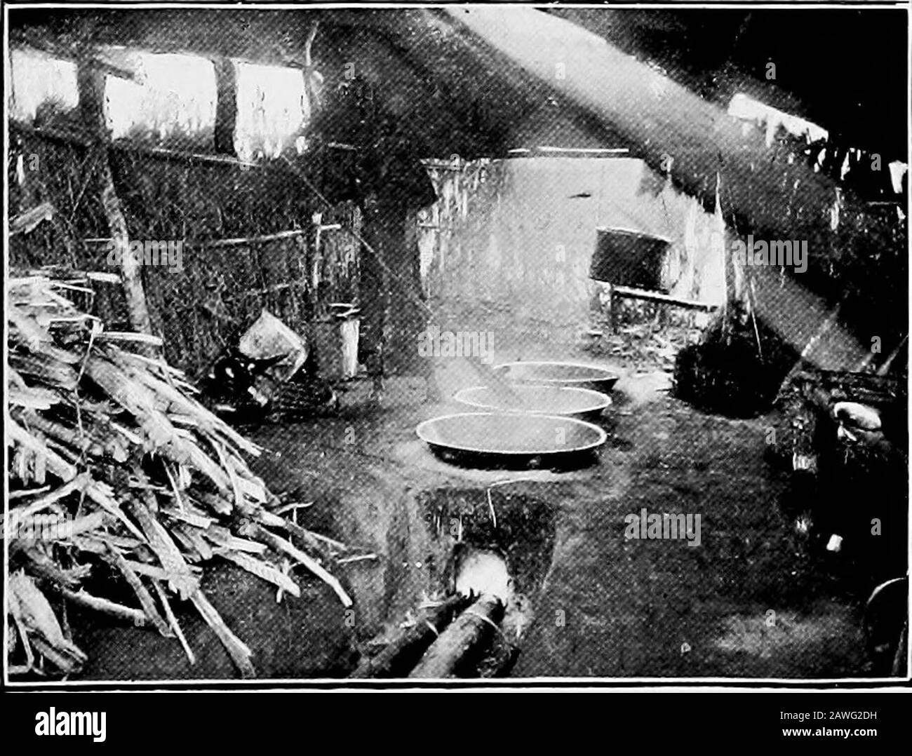 Birmania . ns di estensivicoltura. Sul suolo secco una sottile varietà di canna da zucchero con una crosta scura coltivata, principalmente dai coloni Shan. Canna da zucchero è tagliato in novembre; cime di canna sono tenute in piedi in acqua fino a che il suolo è stato girato e theycan essere messo fuori per il raccolto successivo. Molto zucchero-canna è mangiato likefruit. Il succo di canna è pressato fuori in mulini di legno tra i rulli accuratamente ruotati e orientati da cosce o denti a spirale (No 187). In un shedis adiacente un forno di Earthen per bollire il succo, che è su un molto largerscale che il Palm-Juice bollitura.Earthen pentole sono stati super-sed Foto Stock