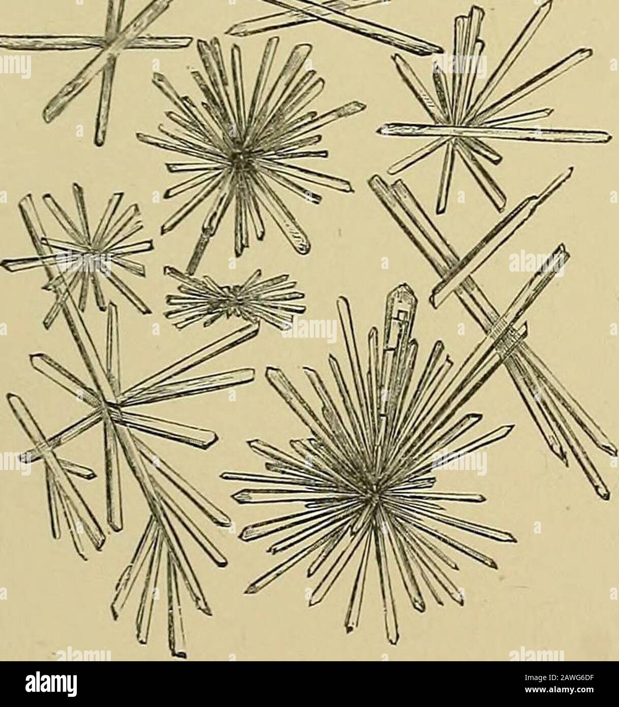 Malattie renali, depositi urinari e malattie calcolose : natura e trattamento . Acido Alloxanico. C8H4Na010. X 130. Fig. 3. N.*^. Foto Stock