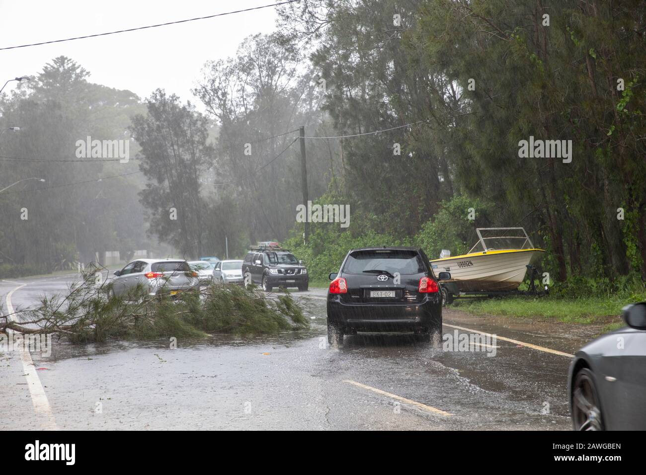 Palm Beach, Sydney, 9th Febbraio 2020. Pioggia pesante e venti forti portano giù gli alberi attraverso Sydney,.Australia credit :martin berry/Alamy notizie dal vivo. Foto Stock