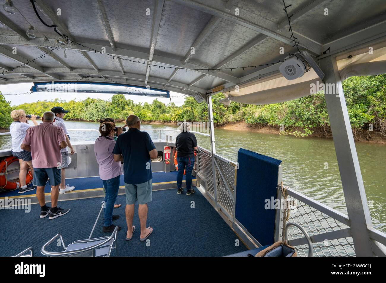 Turisti in crociera per avvistare coccodrilli sul fiume Johnstone, Queensland del Nord Foto Stock