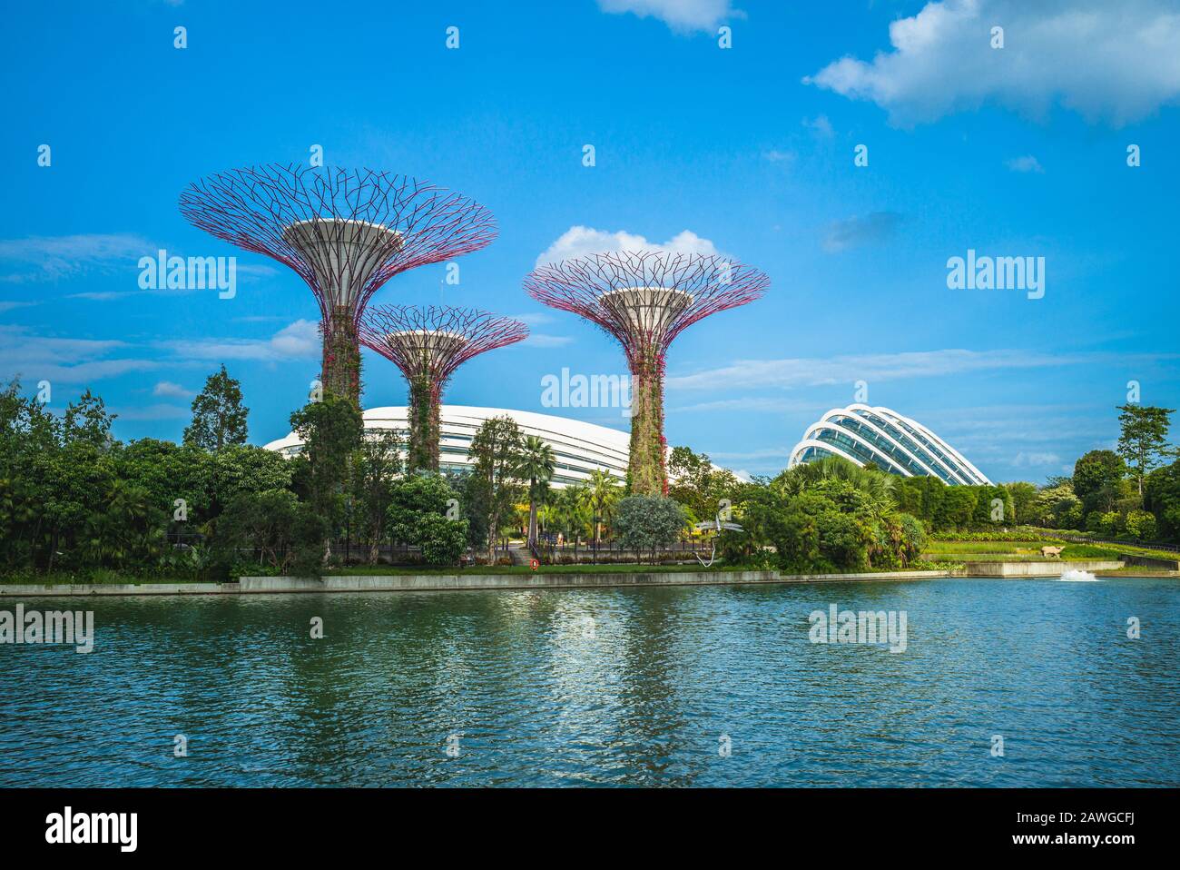 Singapore, Singapore - 6 febbraio 2020: Scenario di giardini vicino alla baia con Flower Dome, Cloud Forest e Supertree Grove alla baia del porto turistico di notte Foto Stock