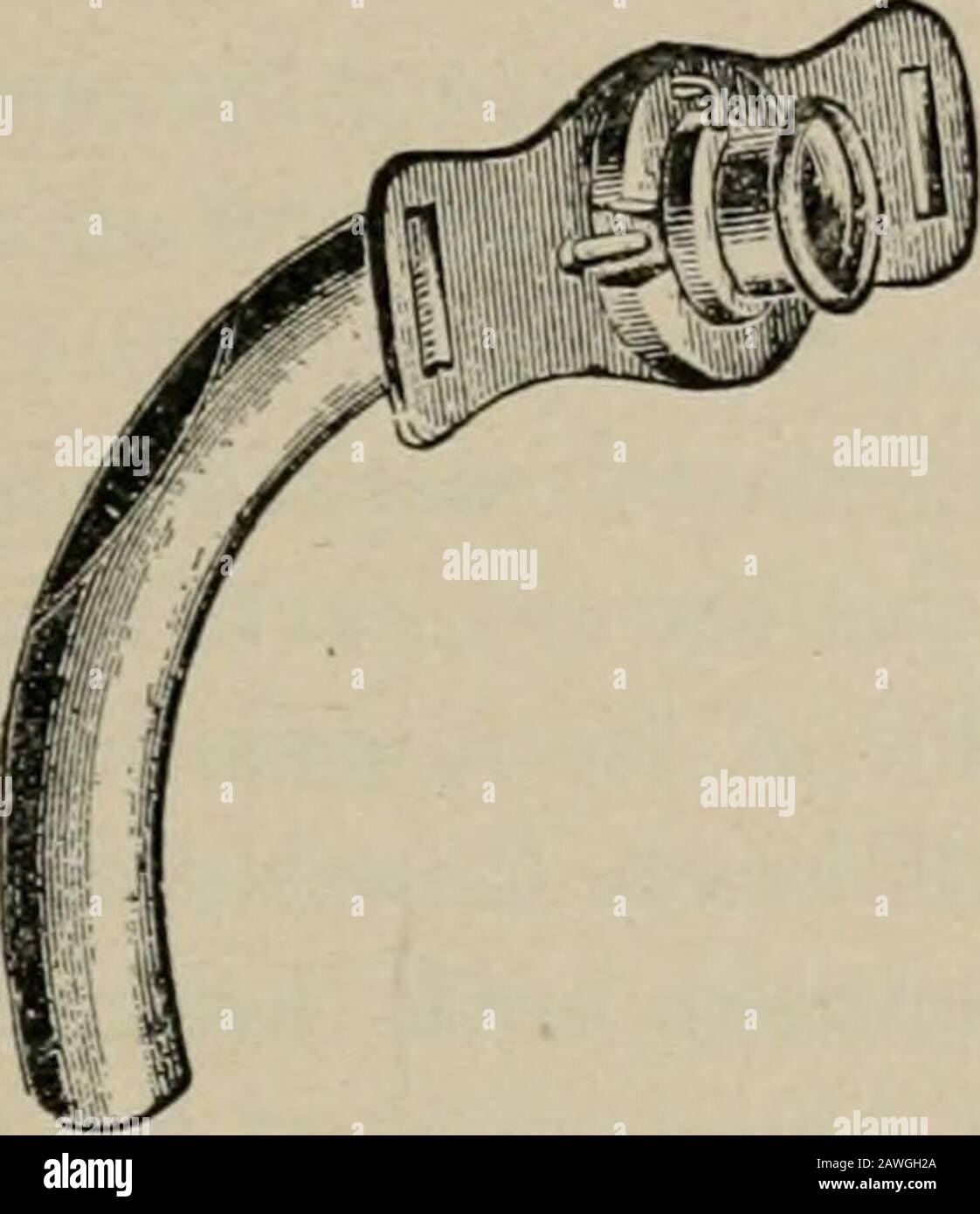 Chirurgia operativa, per studenti e praticanti. rache-otomia). 2. Attraverso la parte della trachea coperta dal teistmo della ghiandola tiroidea (tracheotomia mediana). 3. Attraverso la trachea sotto l'istmo della ghiandola tiroidea (bassa tracheotomia). Questa operazione è piuttosto meno preferibile, in quanto a questo livello la trachea si trova più profonda, più lontana dalla superficie, OPERAZIONI SULLA TRACHEA E SULLA LARINGE. 245 e, inoltre, si possono incontrare vene tiroidee inferiori della tlie o alcuni dei loro rami o ci può essere un'arteria tiroidea ima Present.This è il luogo scelto solitamente per un t preliminare Foto Stock