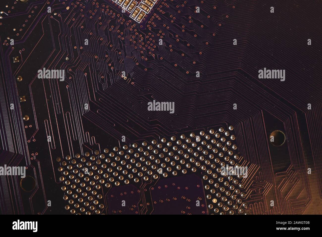 Macro pin del processore. Primo piano scheda madre del computer. Pin della CPU su una scheda di circuito. Microelementi dell'unità centrale del processore del computer. Tecnologia moderna Foto Stock