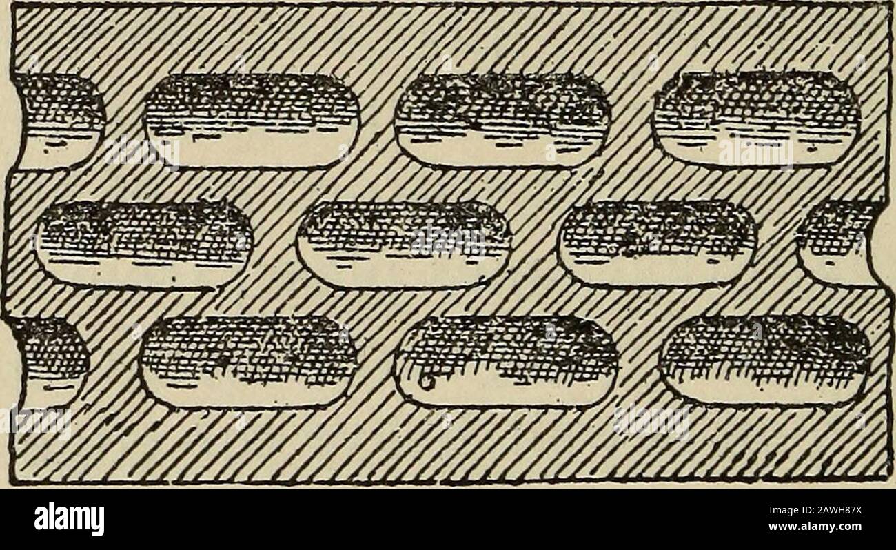 Ruote e ruote; un indispensabile manuale per ciclisti, con oltre duecento illustrazioni . Quando vengono forzati nello stampo, l'aria viene forzata all'interno dei tubi fino ad ottenere una pressione di tre atmos-feres, e i tubi vengono chiusi in corrispondenza di inter-vals, provocando così il riempimento del pneumatico con un numero di celle, ciascuna riempita di aria ad una pressione di tre at-microsfere. Il pneumatico completo rende un molto morbido. Si dice anche che le celle sono di dimensioni uniformi, f ofan pollici di lunghezza e -^ di un pollice di diametro, 256 RUOTE E RUOTA. E in numero di circa 50 per ogni piede di pneumatico. Thevantaggi Foto Stock