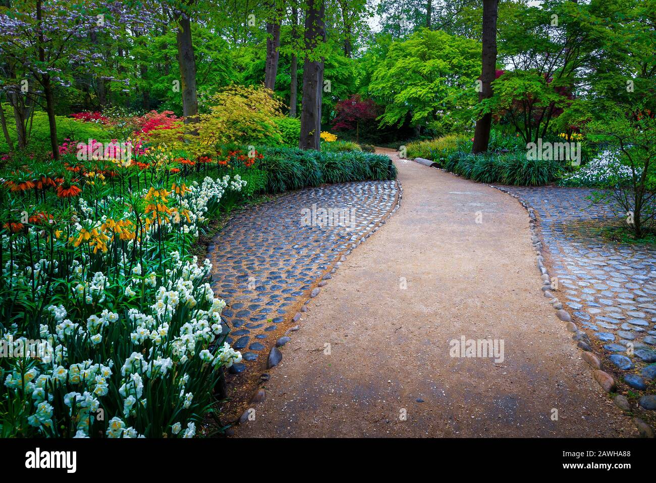 Pittoresco paesaggio del parco primaverile, maestoso giardino Keukenhof con fiori primaverili freschi e colorati. Splendido parco con splendide piante Foto Stock