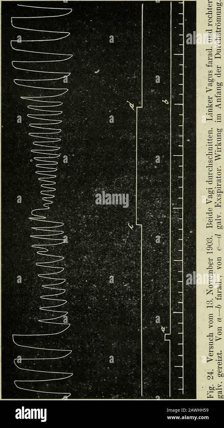 Pflügers Arcivescovile für die gesamte Physiologie des Menschen und der Tiere . cheinbar fondamentale Gegen-satz der galvischen und fara-dischen Ströme verschwindet,wenn man die galvanischen Reizeentsprechend häufig in der Zeit-eineinwirken lässt und wirerkennen, Dass der scheinbarQualitative Unterschied sich ineinen quantitiven verwandelt,wenn wir nur den gischenStrom entsprechend kurze Zeitund als Einzelreize wirken lassen. Diesen Unterschied zwi-schen der Wirkung der Einzel-reize aufzuklären, habe ichfolgende Versuche angestellt. Der galvische Strom unter-scheidet sich bekannt Foto Stock