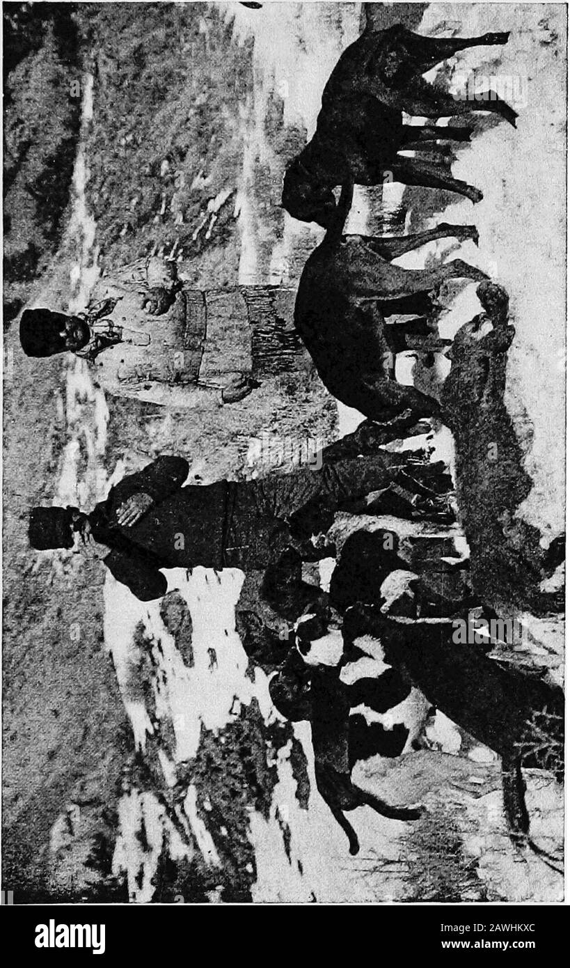 Il libro Roosevelt; selezioni dagli scritti di Theodore Roosevelt. Arking ha trattato orhad qualcosa alla baia; tuttavia, sempre come wecame più vicino abbiamo potuto sentire ancora loro pista di runninga e quando finalmente siamo arrivati in su closewe tollerabilmente trovato che erano tutti sparpagliati fuori. Boxerera molto indietro, e Nellie, i cui piedi erano doloranti, lo accompagnava sobriamente, nolonger dando la lingua. Gli altri sono stati classificati sepa uno dall'altro, e finalmente madeout Treeem tutti da solo, e non molto lontano. Invano Goff chiamato e sanguinava il suo corno; Treeem scomparve su un alto lato collina, andcon comm mutato Foto Stock