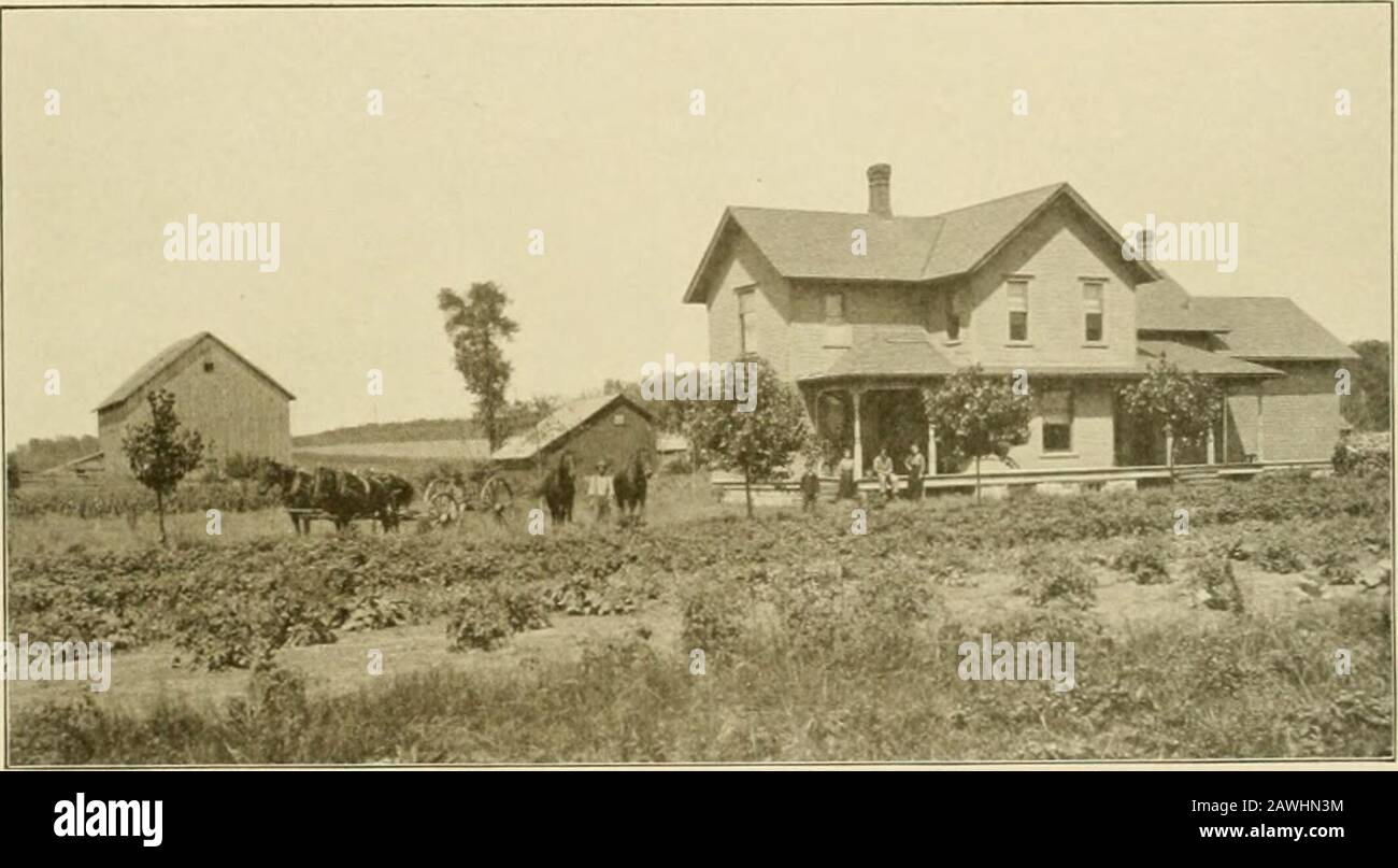 Storia della contea di Wexford, Michigan : abbracciando una breve rassegna del suo insediamento iniziale, lo sviluppo industriale e le condizioni attuali . n, che è morto in Orange. Xew Jer-sey. È nata nei pressi di Newark, XewJersey, e per il suo matrimonio ha becomehe madre di tre figli: Leo M..Floy A. e Esther H. Frederick hasbeen attivo negli affari del villaggio e dei suoi concittadini è stato chiamato ad anumber di ofres. Serxing come chierk.as villaggio chierk di Antiochia borgata, come giustizia del ])eace e come amministratore scolastico. Fu nominato anche postmaster di Sherman inXovember, 1901, dal Presidente Foto Stock