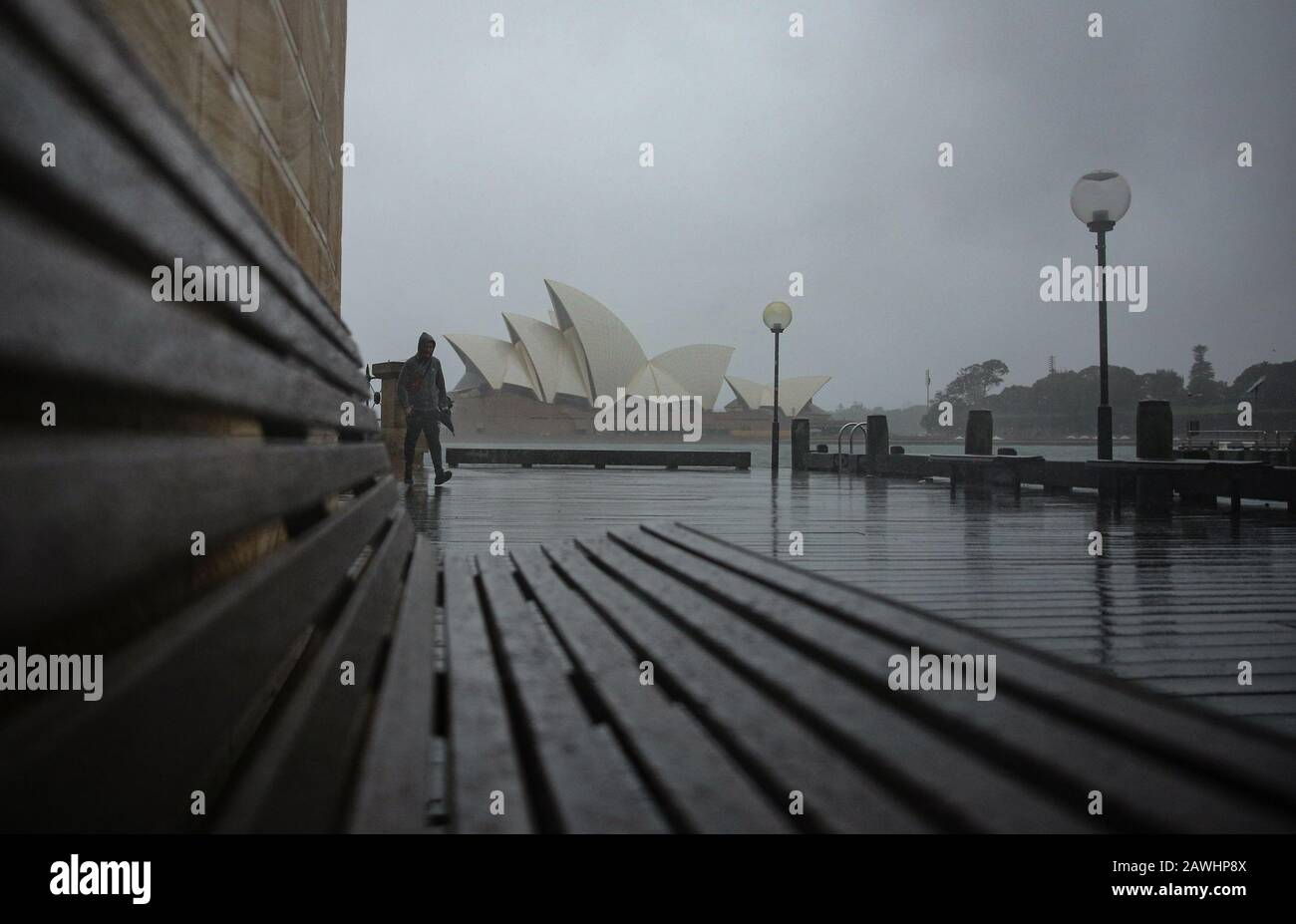 Sydney, Australia. 9th Feb, 2020. Un cittadino cammina sotto la pioggia a Sydney, Australia, il 9 febbraio 2020. Una pioggia enorme colpisce la costa orientale dell'Australia devastata dal fuoco del bushFire il venerdì. Nel bel mezzo della peggiore siccità mai registrata, si prevede che l’enorme pioggia del venerdì si attaccheranno per almeno una settimana e potrebbe portare sollievo alle comunità che soffrono a lungo. Anche se la pioggia è per lo più considerata una buona notizia, le autorità stanno anche avvisando che le aree danneggiate dagli incendi sono a rischio estremo di inondazioni. Credito: Bai Xuefei/Xinhua/Alamy Live News Foto Stock