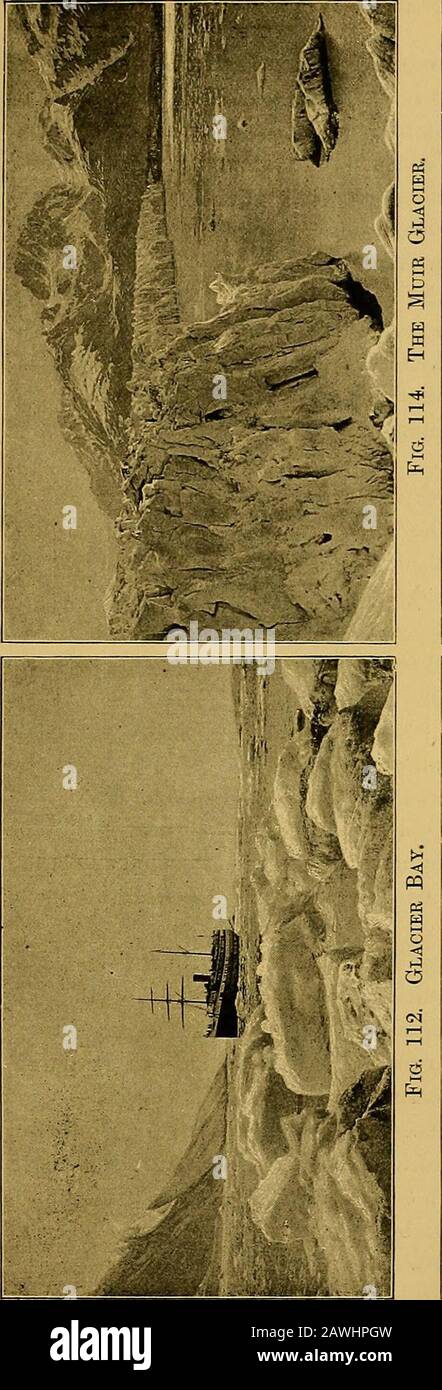 Lo Yosemite, l'Alaska e lo Yellowstone . nd patetico. Abbiamo poi camminato verso il fiume indiano, e riposato per un po 'di tempo nella pineta sulle sue rive. Qui il muschio appeso agli alberi a gignarled, E anche se era ora temdle di giugno, i rami sono stati capovolti con il nuovo verde della primavera, andThe terra è stato cosparso in luoghi con fiori bianchi delicati. Al ritorno al piroscafo il fischio è stato soffiato per raccogliere i passeggeri, e come il suo eching e il piercing gamberetti risuonato, un più spaventoso wailing, howling, e barking riempito l'aria, cessando non appena il fischio si è messo in pausa, e di essere ripreso quando Foto Stock