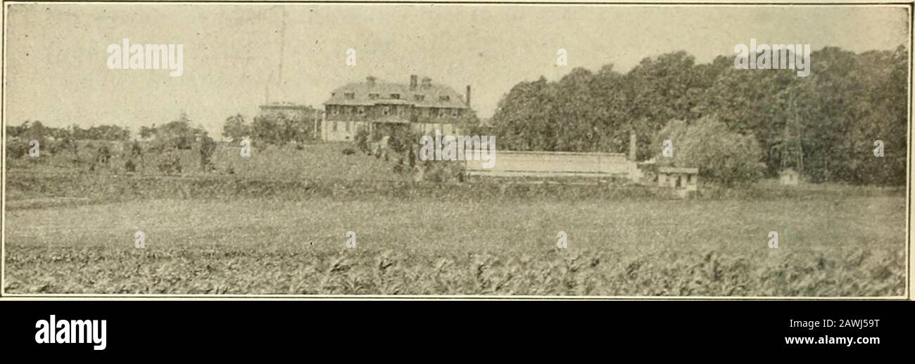 Dodicesimo rapporto annuale della Scuola di Fattoria Nazionale Novembre 1909 . n orecchie apprezzative. Sente una vecchia melodia, come era, un brano familiare. L'attrattività della moderna coltivazione ha contribuito in parte al suo desiderio di tornare nel suolo. Ma più che l'attrattiva dell'agricoltura, il pathos inquietante della sua vita nel ghetto affollato risveglia dentro di lui l'anelito di condividere più della dolcezza - . ^ , . 1. Ml- Fattoria anche un e sanity di un'esistenza rurale che è possibile m mezzi di es- l'atmosfera soffocante della città congestionata, a capo dal din e clamore, la sporcizia e sporcizia, del Ghe Foto Stock