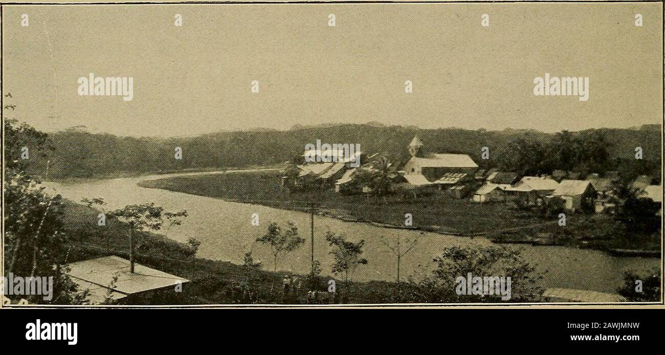 Con Speaker Cannon attraverso i tropici : una storia descrittiva di un viaggio nelle Indie Occidentali, Venezuela e Panama: Contenendo le viste del presidente sui nostri possessi coloniali. Dal francese è stato dismaniaciato e arrugginito, e molto di esso, come vedrete alongthe linea della ferrovia, è stato gettato sopra nei fossati per becovered dalla terra, perché quello era il senso più facile disposedof esso. Gli edifici che hanno lasciato che erano riparabili agli Americani hanno dovuto essere restaurati e messi in ordine. Noi dobbiamo arrivare qui gli uomini; ci sono verso l'alto di trenta millesimi. Sono stati trainati e trascinati fr Foto Stock