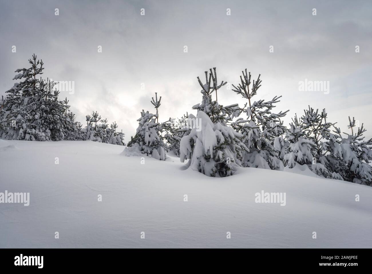 Splendida campagna invernale con neve e montagne. Foto Stock