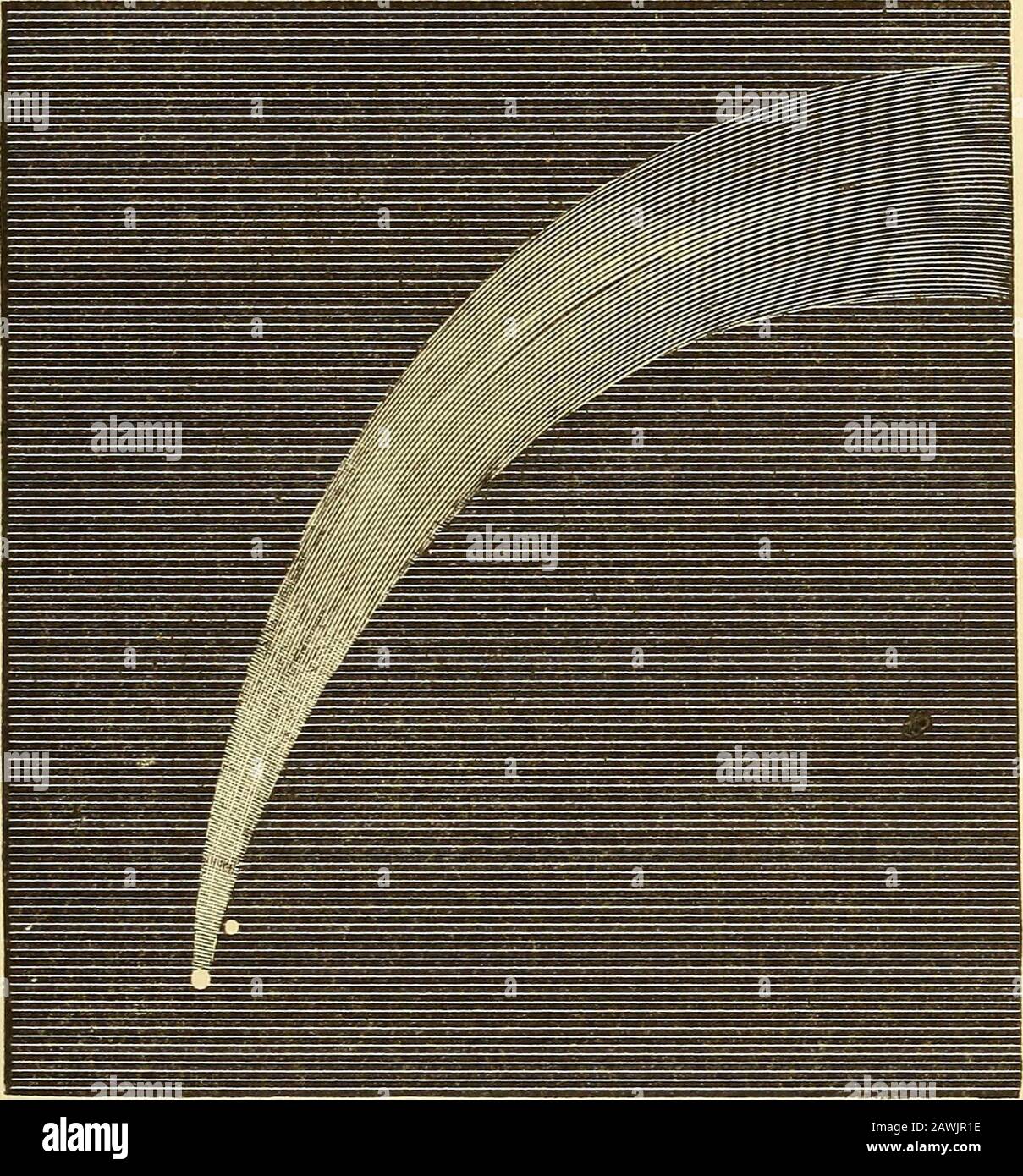 La storia del sole, della luna e delle stelle . s-trial calamità, tuttavia la società è atta a essere nervoso rispetto-che questi corpi, come probabile causare una certa grande naturalconvulsione dalla collisione con il nostro globo. La grande cometa, che nel 1683 ricevette il nome di cometa di Halleys, apparve per ultimo nel 1835, hisreturn essendo stato preannunciato entro tre giorni di itsrealmente che hanno luogo. Per Halleys comet è un mem-ber del sistema solare, avendo un viaggio annuale di settantasei anni terreni. Egli si avvicina al thesun di Venere, e si allontana più lontano da Nettuno. Negli anni 1858, 1861, e 1862, tre morecomets Foto Stock