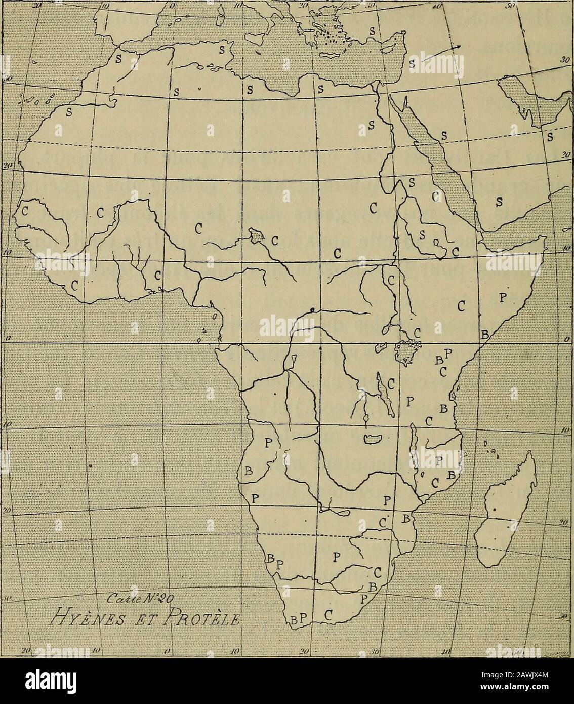 Annales des sciences naturelles . inconnue dans lOuest; lextrême pointSud (2) de son aire de Dispersion paraît être lAbyssinie.quant à la Hyœna crocuta (ErxL), elle passe du Sénégal etde la Guinée supérieure par le Soudan et le Kordofan dans (1 Carte) n. 20, pagina suivante. (2) Suivant Schinz on rencontrait la Hy. Striata dans les mêmes paragesque IsiHy. Crocuta, au désert de Kalahari dans le Sud-OuesL de fAfrique.{Zool. Jahrbiich., vol. IV, p. 164, 1889). Il y a tout lieu de suposer queSchinz a confondu la Hyène rayée avec le Protèle. Daprès M. Matschie, Emin-Pacha aurait commis la même mépr Foto Stock