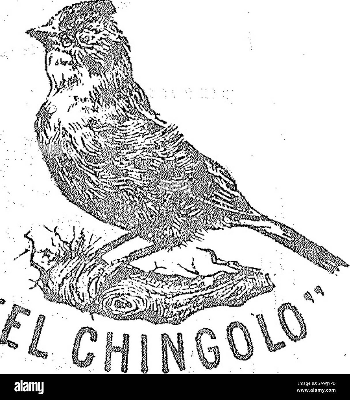 Boletín Oficial de la República Argentina1912 1ra sección . Mayo-28 de 1912.-Arthur Campos YCO.-Artículos de las clases 62 a 66, 70J 79. V-6 junio. ACTA N 36-789 §6- -.Am wm it tf*&gt; Mayo 29 de 1912.- Ernesto Decomis.»Artículos de lafi clases 1 á 79. , .  , . F-f Itfffe*. V I Foto Stock