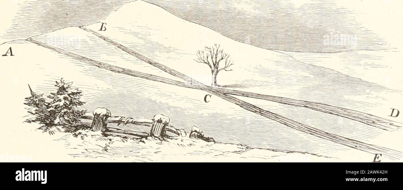 I Bodleys raccontare storie . dire, una dozzina di noi bovs, e sei fiyhey wei-e |)irales. E sei. Merchandismen. Abbiamo preso le nostre slitte al thetoj) di una collina, e il mercjiantmeii fatto corridori dubitU del theiis, dire tre corridori doppi con due ragazzi a ciascuno : quello s piuttosto pochi,])ut non voglio importunare voi con rendervi remendier troppo manyboys. Ci sono stati due posti di partenza per la costa dalla cima DI UN RACCONTO INVERNALE NOTTI. 15 la collina, e le due coste si incrociarono a metà strada verso il basso.i m disegnare un'immagine qui al buio per mostrarvi nel morningesattamente come era.^ ora, la cosa wa Foto Stock