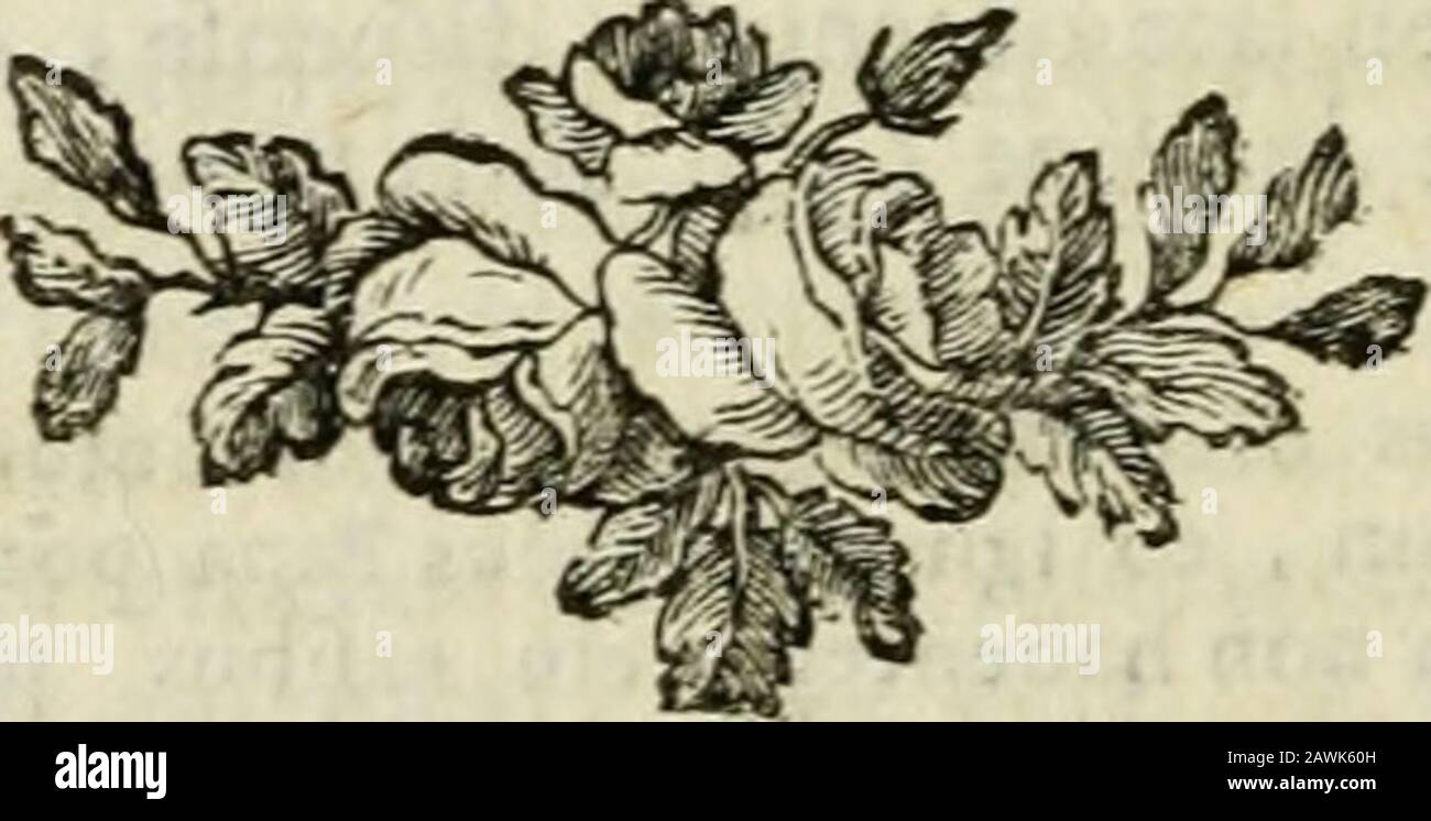 Conférences ecclésiastiques du dièse d'Angers : Tenes dans les années 1709 à 1760 et les suivantes . complice , il feroit fufnens ) parce que , fiiivant leconcile de Trente (g) , les évêques peuvent difpenferde toutes les fufpenies encoures pat des péchés faecrets,excte celle qui eft ue par encourt-on voltaire. Un homme qui a reçu les ordres par une fimo-nie comife à fon infçu , à laquelle il na eu aucunepart, ne doit pas en exercer les fondisions quand cettelimonie eft venue à fa connoiirance ; ceft le fenti-iTient de Thomas {h). Plufieurs autres auteursffont du fentiment Foto Stock