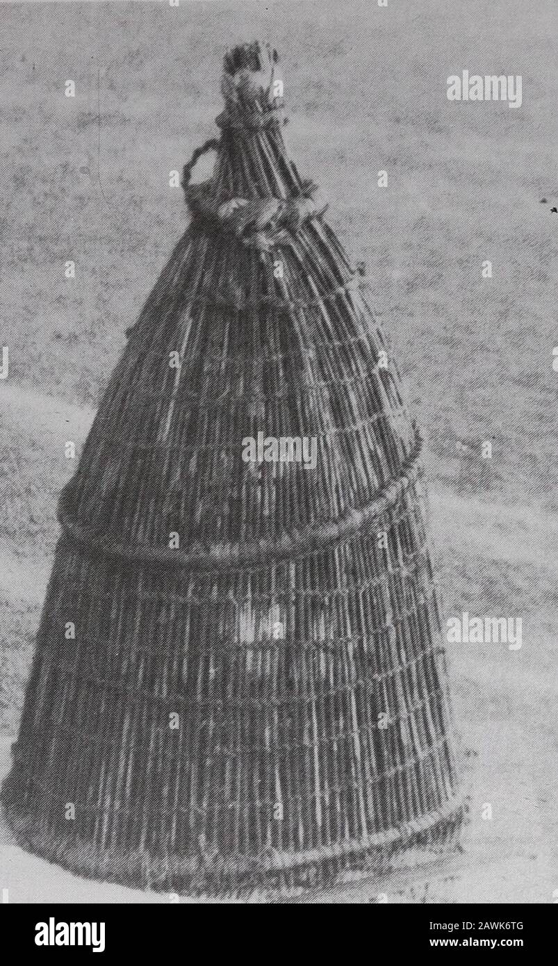 Annali del Museo Sud Africa MuseumAnnale van die Suid-Afrikaanse Museum . perance può essere dato a quest'ultimo stringendo i trefoli in modo non uniforme(7e) ma, nell'unico caso registrato, l'effetto decorativo è stato sul lato sbagliato e non sfruttato come decorazione. Le stesse varietà di passera possono essere utilizzatcon più di tre filamenti (7f, 7g, Fig. 16F). Intreccio a treccia (7h, fig. 17A). Simile alla semplice intreccio, ma lo strandsgo sopra e sotto due o più trefoli invece di uno. Intreccio multiplo (7i, 7j). Una treccia piatta formata da un qualsiasi numero di strati divisi in gruppi. Ogni filamento è trattato singl Foto Stock