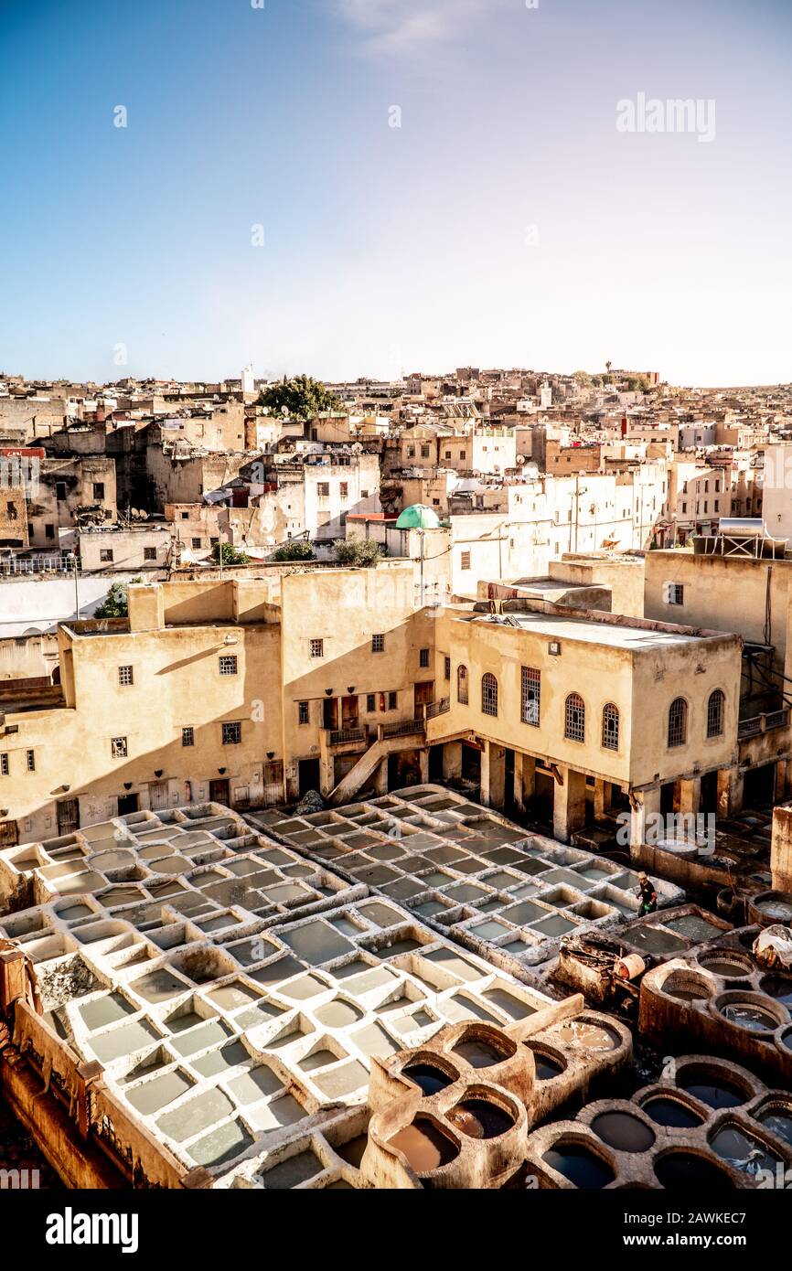 Conceria di cuoio FES, Marocco Foto Stock