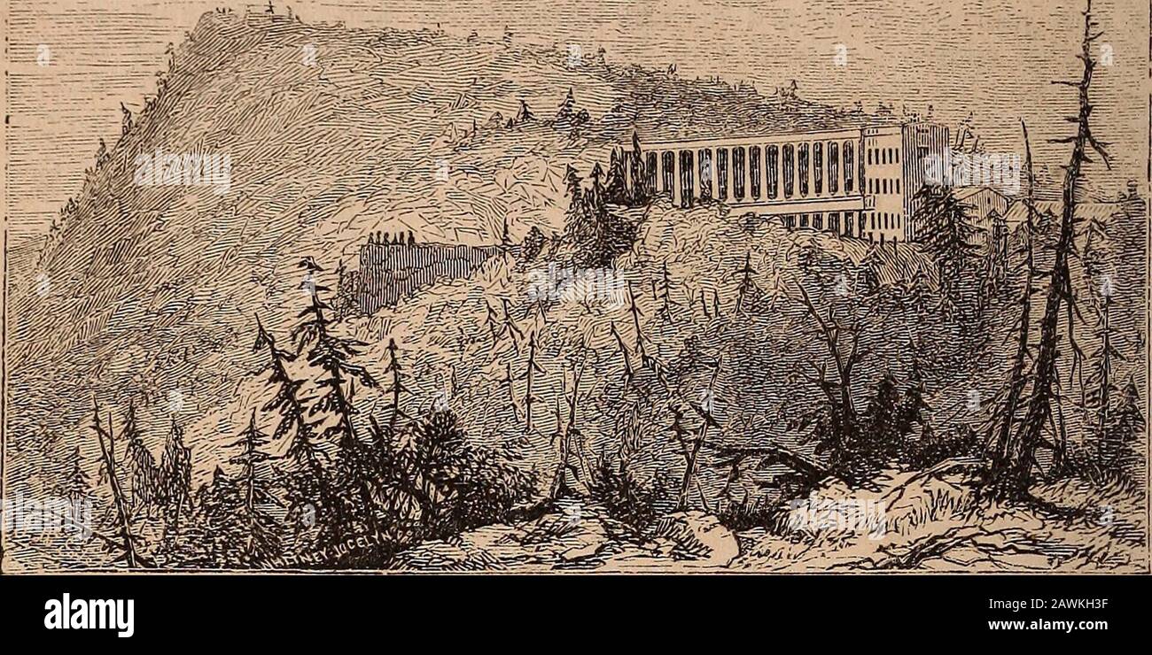 Appletons' illustrato manuale di viaggio americano Guida completa e affidabile ..to ..The Stati Uniti e le provinciibritanniche Ton mappe accurate di tutte le parti del paese, e immagini di luoghi famosi e scene, da disegni originali da parte dell'autore e di altri artisti . gh scogliere soaryet lontano sopra di esso. Per vedere la sceneproperly, il visitatore attraverserà il ponte sopra il Genesee sopra il temill, e si posizionerà immediatamente davanti alla caduta. Una certa distanza oltre, un scalinate al fondo del burrone, da dove si può passare in una barca, o pickyour strada lungo sotto lo spray dei tumbli Foto Stock