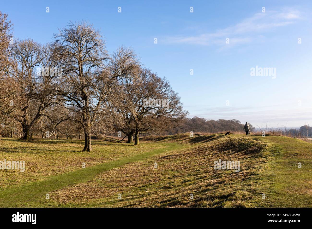 Badbury Rings - un forte di collina dell'Età del ferro sulla tenuta Kingston Lacey, Dorset, Inghilterra, Regno Unito Foto Stock