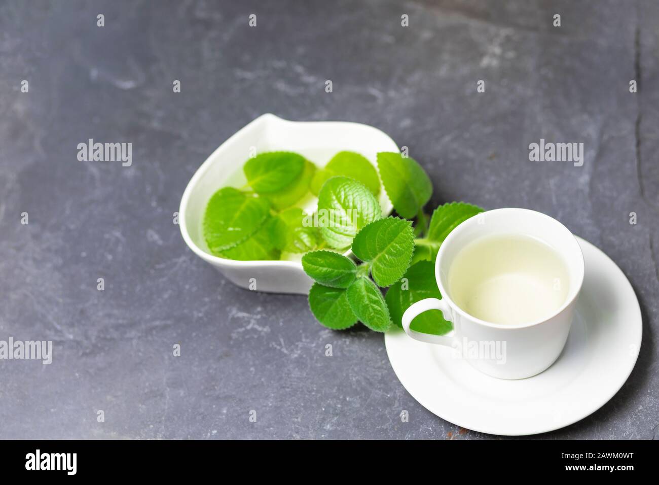 Tazza di tè Silver Spurflower e foglie in una ciotola bianca su piastra in ardesia di pietra. Foto Stock
