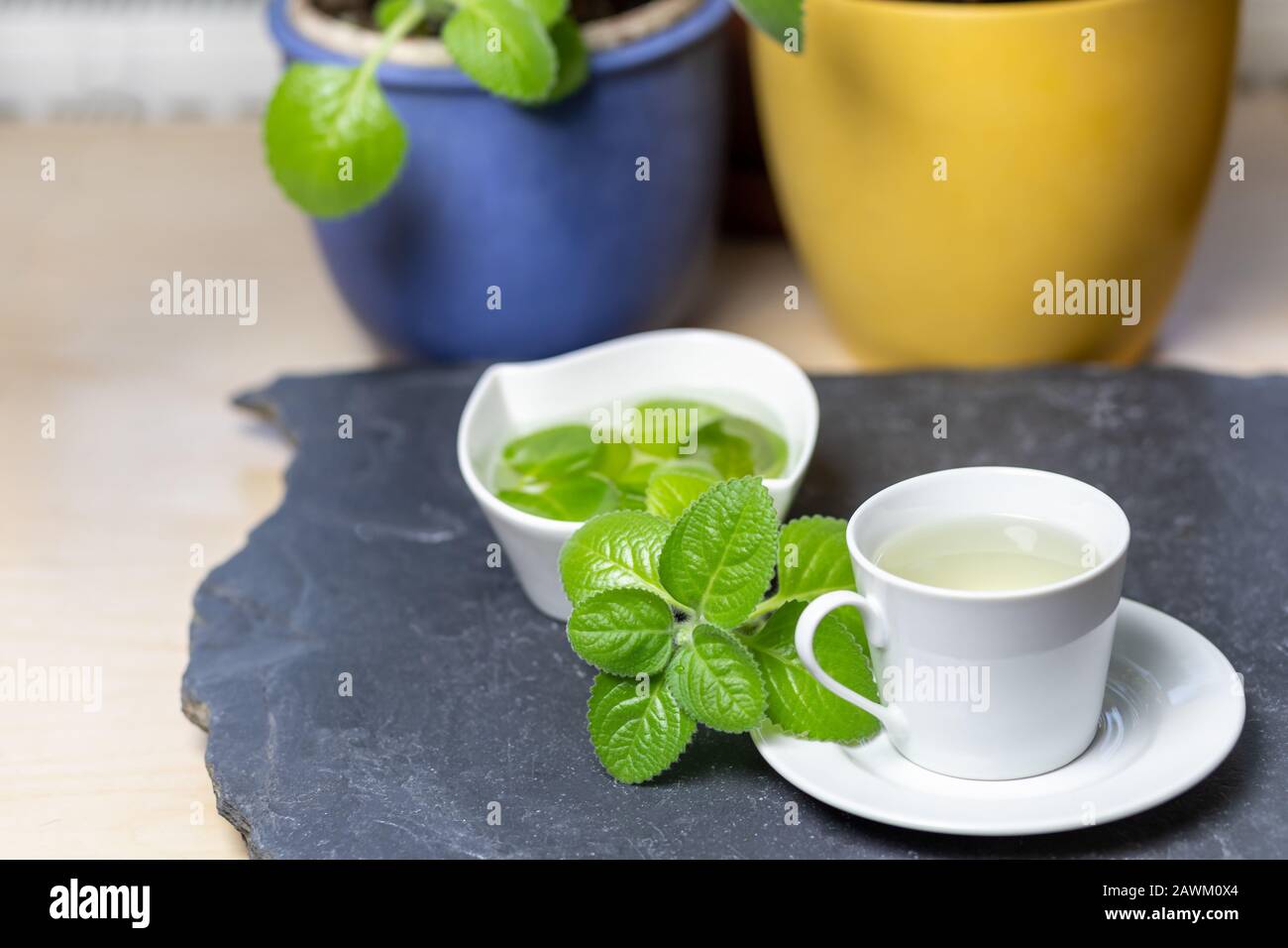 Tazza di tè Silver Spurflower e foglie in una ciotola bianca su piastra in ardesia di pietra. Le pentole a colori sono sullo sfondo. Foto Stock