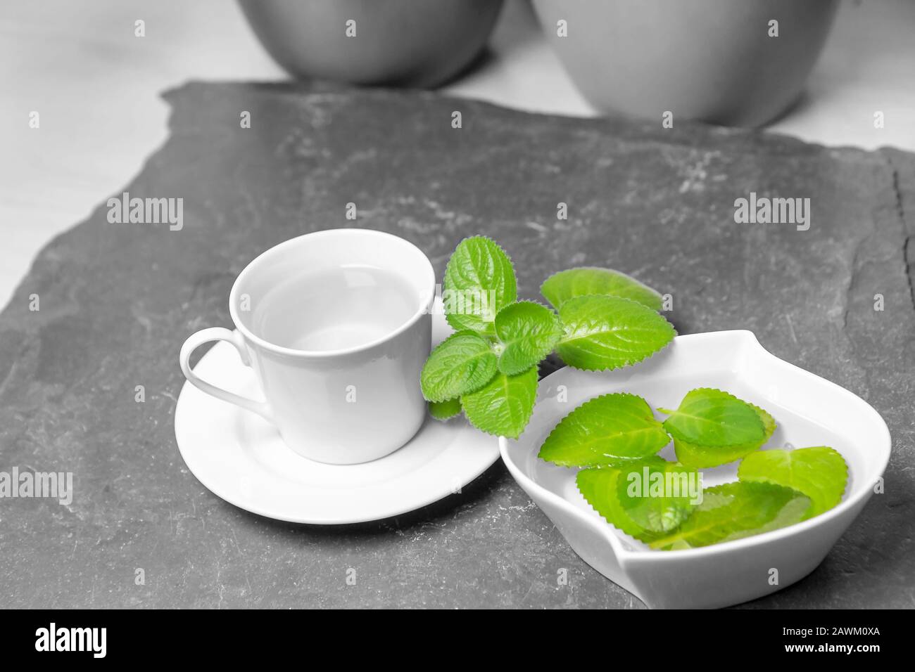 Tazza di tè Silver Spurflower e foglie in una ciotola bianca su piastra in ardesia di pietra. Effetto Schizzi Di Colore Foto. Foto Stock