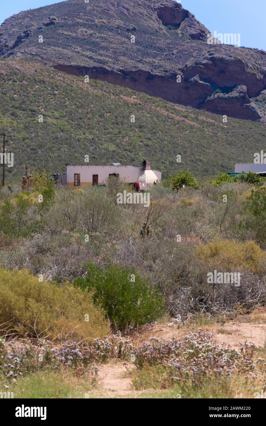 Piccola abitazione isolata o casa nel Karoo, Capo Occidentale, Sud Africa Foto Stock