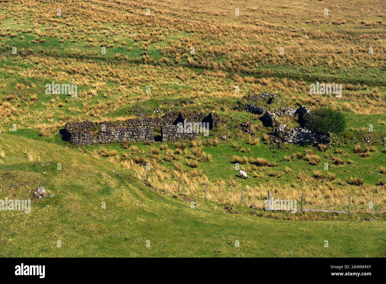 fattoria a strapiombo intorno alla vecchia rovina sull'isola di skye Foto Stock