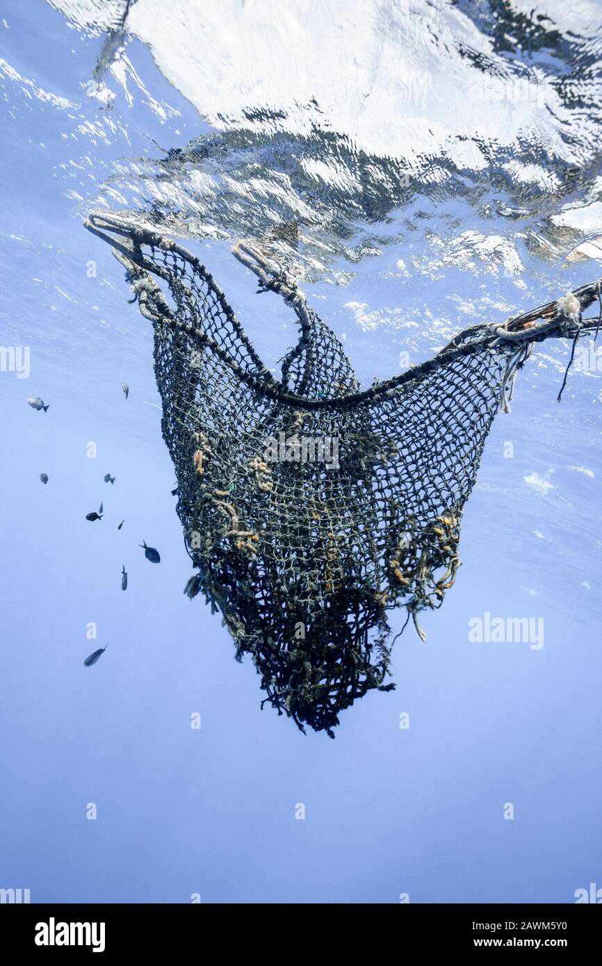 Rete di pesca persa galleggia nel mare, Moorea, Polinesia francese Foto Stock