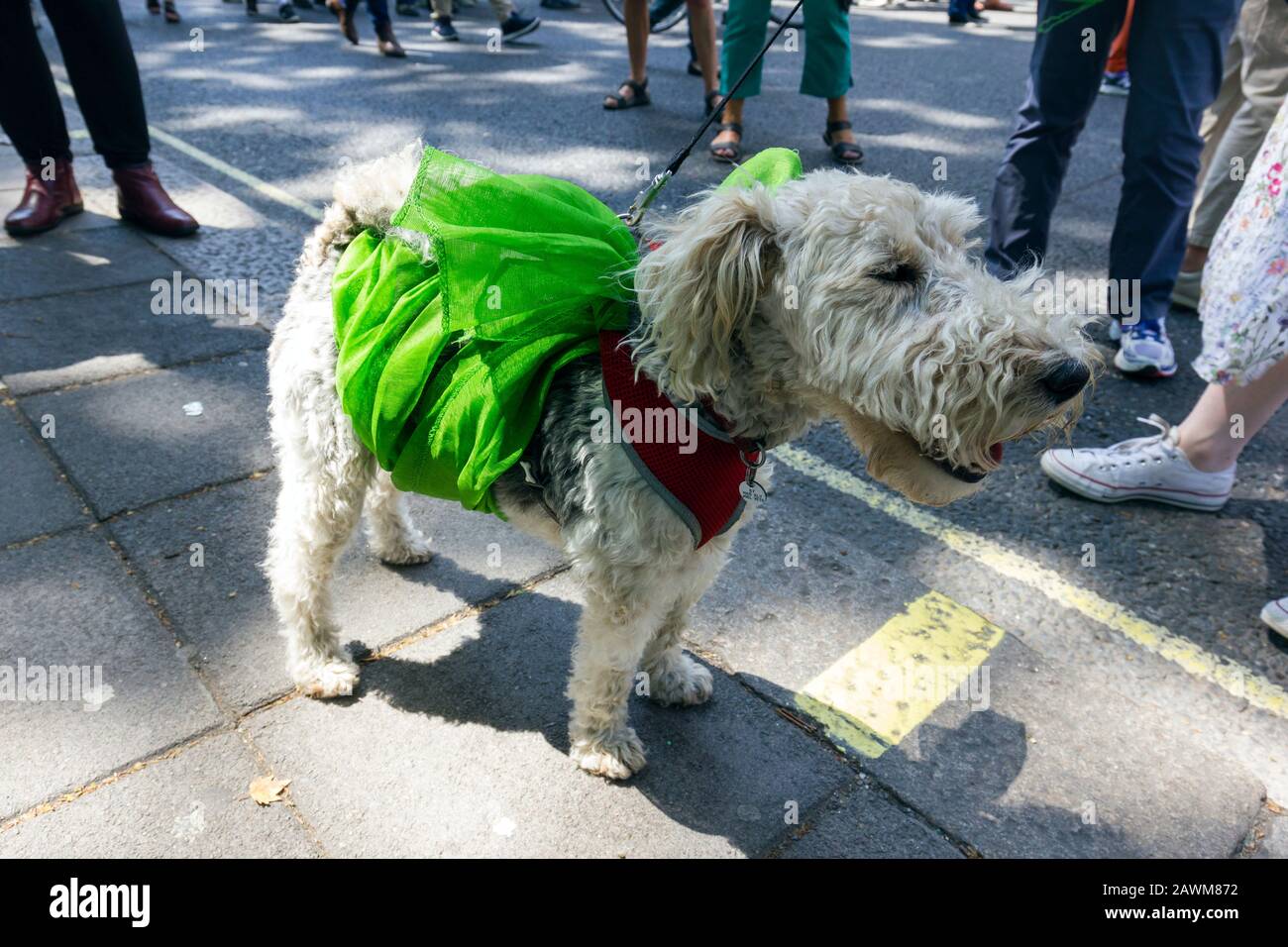 La messa di marzo segna 100 anni di voti delle donne, Central London, UK 10 giugno 2018. Insieme donne provenienti dal Regno Unito hanno marciato le strade per creare un'opera d'arte vivente, producendo un mare di verde, bianco e viola - i colori del movimento delle suffragette. Foto Stock