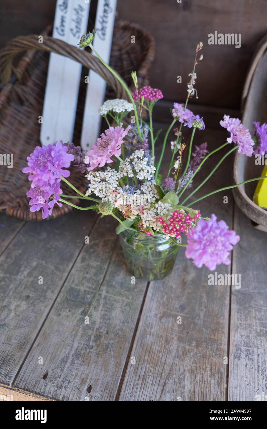 Fiori di campagna inglese nel capannone di incapsulamento Foto Stock