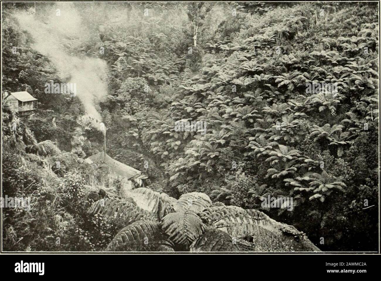 La geologia della suddivisione Coromandel, Hauraki, Auckland. Nuova Batteria Quattro In Mano Companys Battery, Waikoromiko.. Batteria Royal Oak, Collina Tokatea. [Foto, di W. Beattie and Co., Auckland. Geo. Boll Aro. I,.] [a faccia p. 125. Per Dwt 0 Ion.21 o 12 Dwt,2 gr.5 0 23 125 i fatti suggerirebbero la frattura della roccia e la mineralizzazione in due periodi differenti, la formazione della vena più giovane essendo coeva con l'arricchimento del più vecchio. La rivendicazione Tandem, tenuta da privati, si trova sullo sciopero del sistema venoso Kour-in-Hand, ma lo stato delle lavorazioni non ha permesso il suo esame. Lo farebbe Foto Stock
