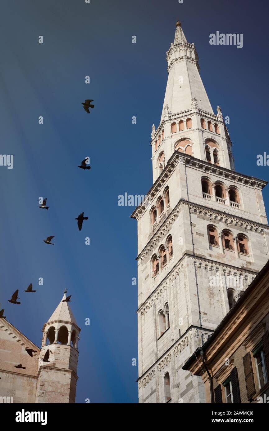 Campanile della cattedrale con piccioni in volo a Modena, Italia Foto Stock