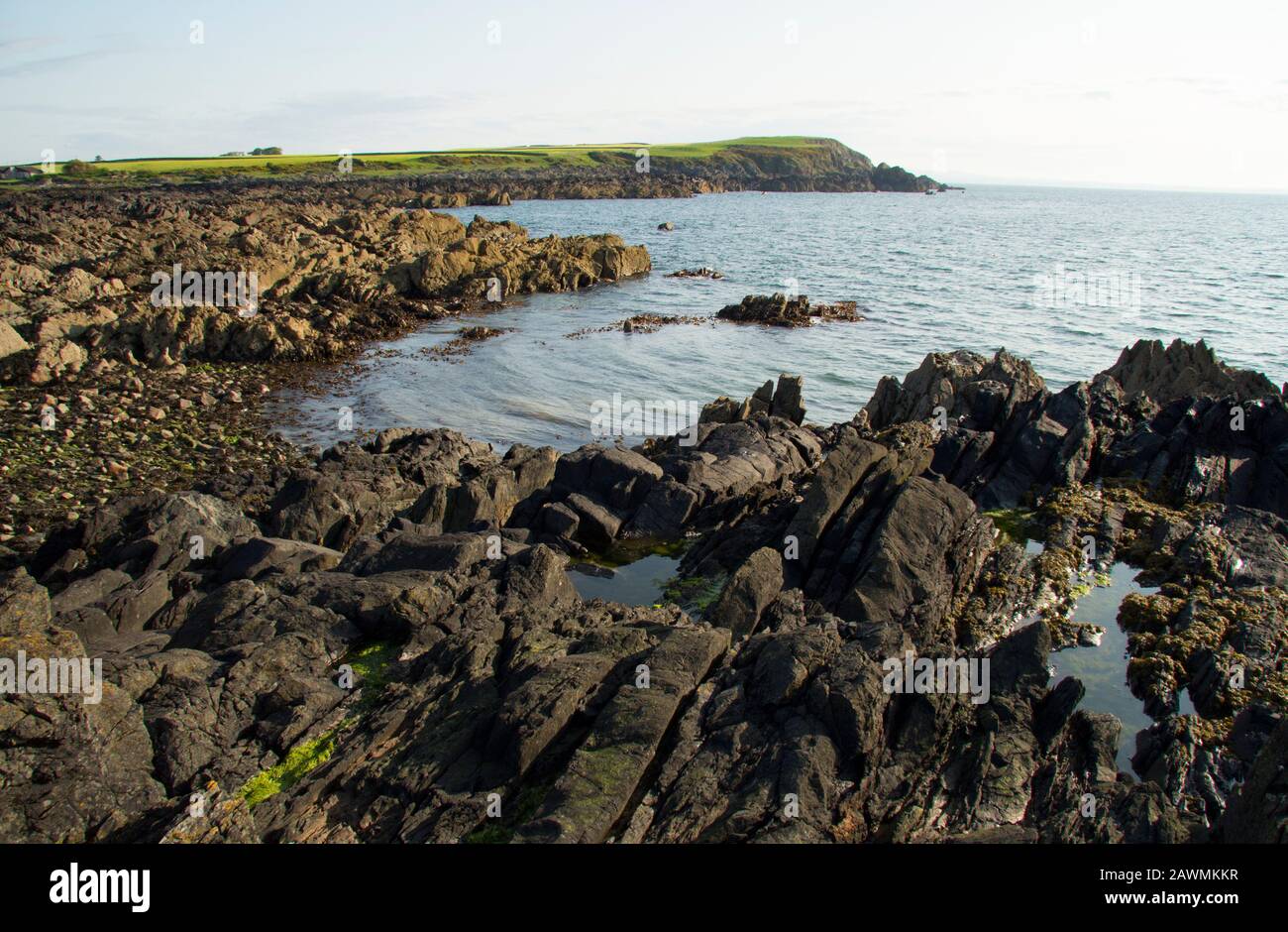 Una scena a bassa marea lungo le coste rocciose di Dumfries e Galloway vicino al villaggio di Isola di Whithorn. Sud-ovest Scozia GB Foto Stock