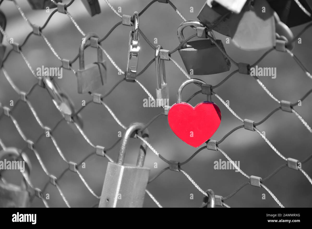 Lucchetto nella forma rossa del cuore sulla recinzione di un ponte. Sfondo monocromatico. Simbolo dell'amore per sempre. Foto Stock