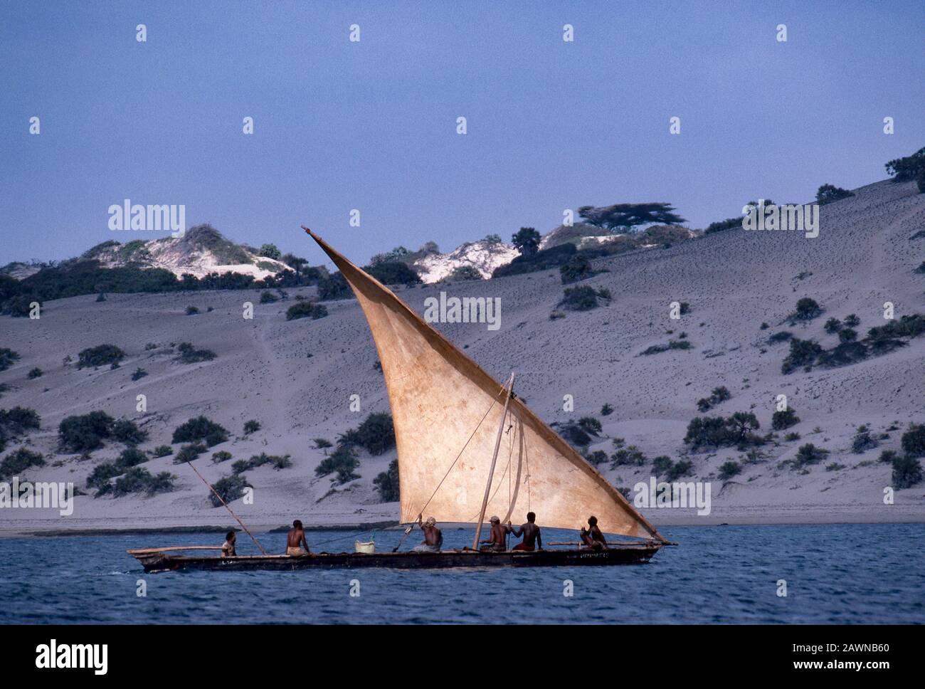 Barca a vela dhow con vela lateen, isola di Lamu al largo della costa dell'Oceano Indiano del Kenya. Lamu una volta il principale percorso commerciale di antica cultura swahili lungo la costa dell'Africa orientale dall'Arabia a Zanzibar e oltre. Foto Stock