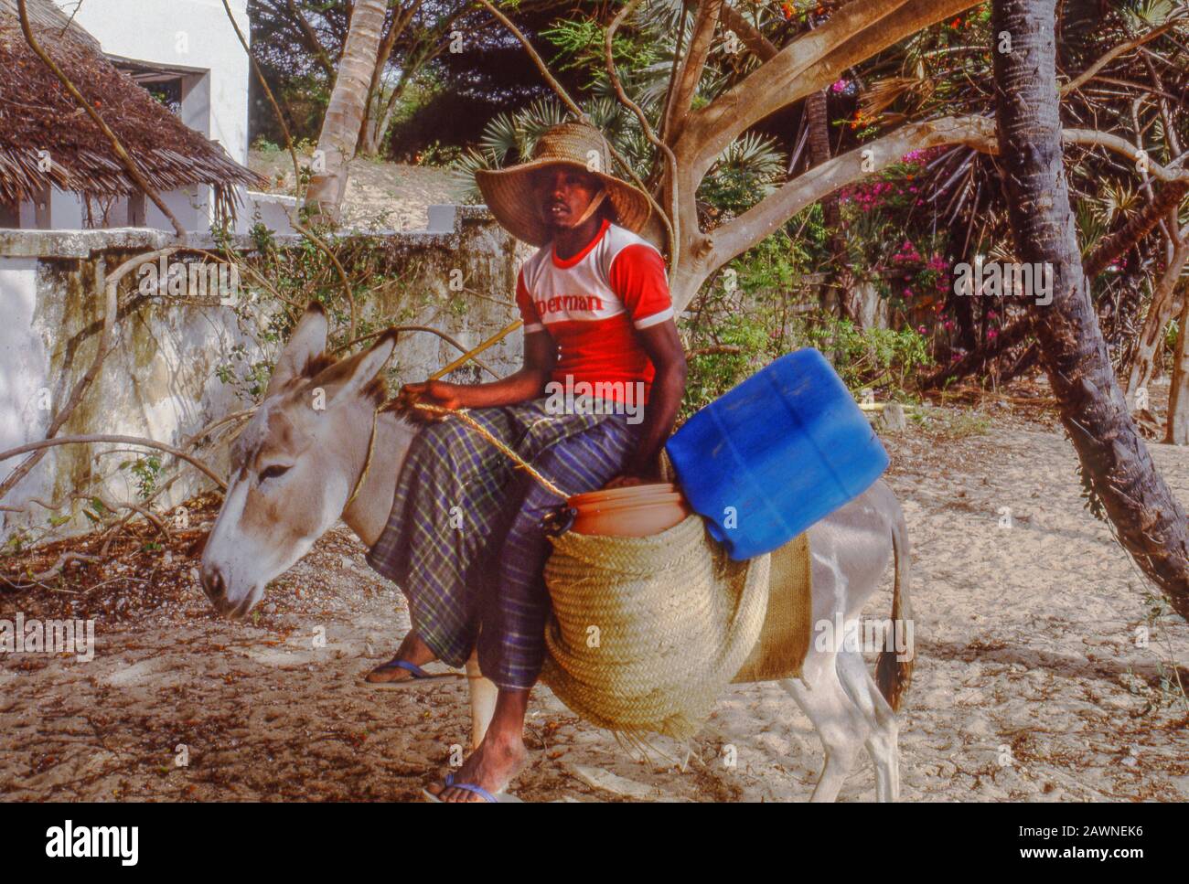 La città vecchia di Lamu, costa dell'Oceano Indiano del Kenya. Non sono ammessi veicoli a motore sull'isola. Il trasporto principale per la gente ed il commercio è asini. Lamu era sulla strada commerciale principale secoli fa dall'Arabia a Zanzibar sulla costa dell'Africa orientale. Foto Stock