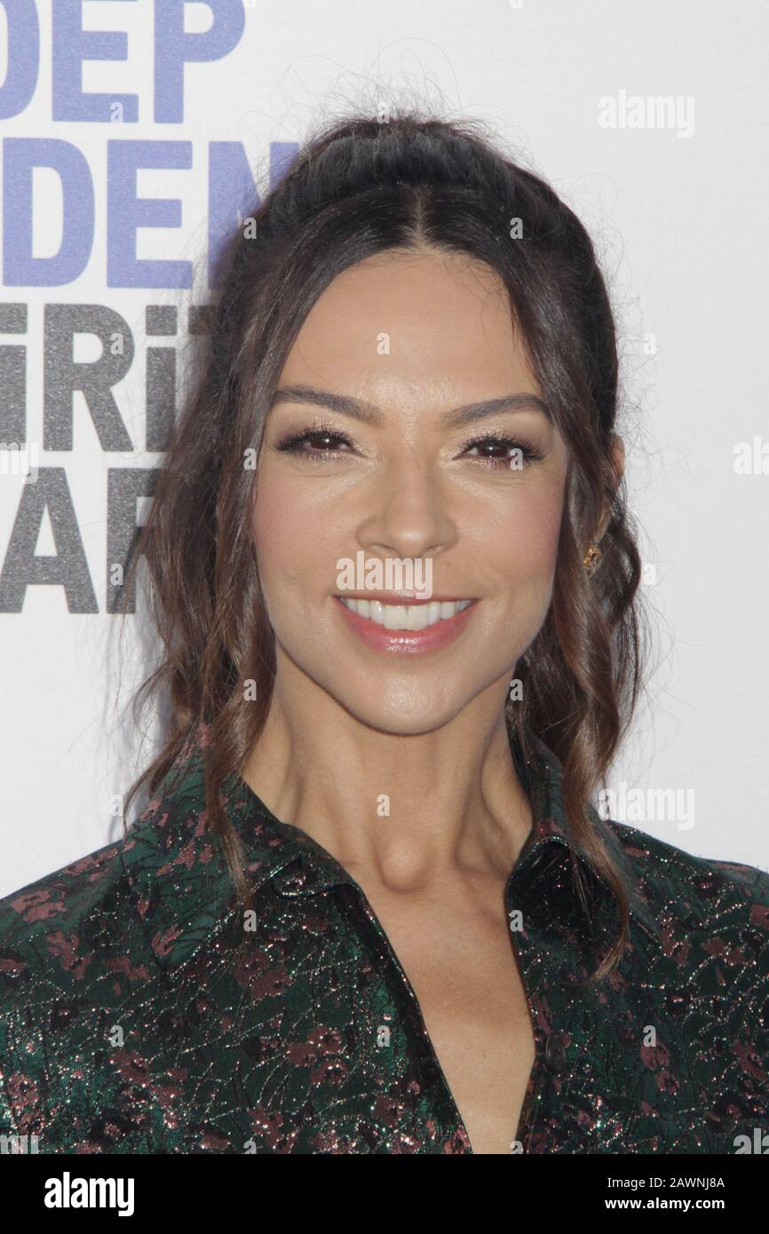 Terri Seymour 02/08/2020 2020 Film Independent Spirit Awards si è tenuto presso la spiaggia di Santa Monica a Santa Monica, California. Foto di K. Hirata / HNW / PictureLux Foto Stock