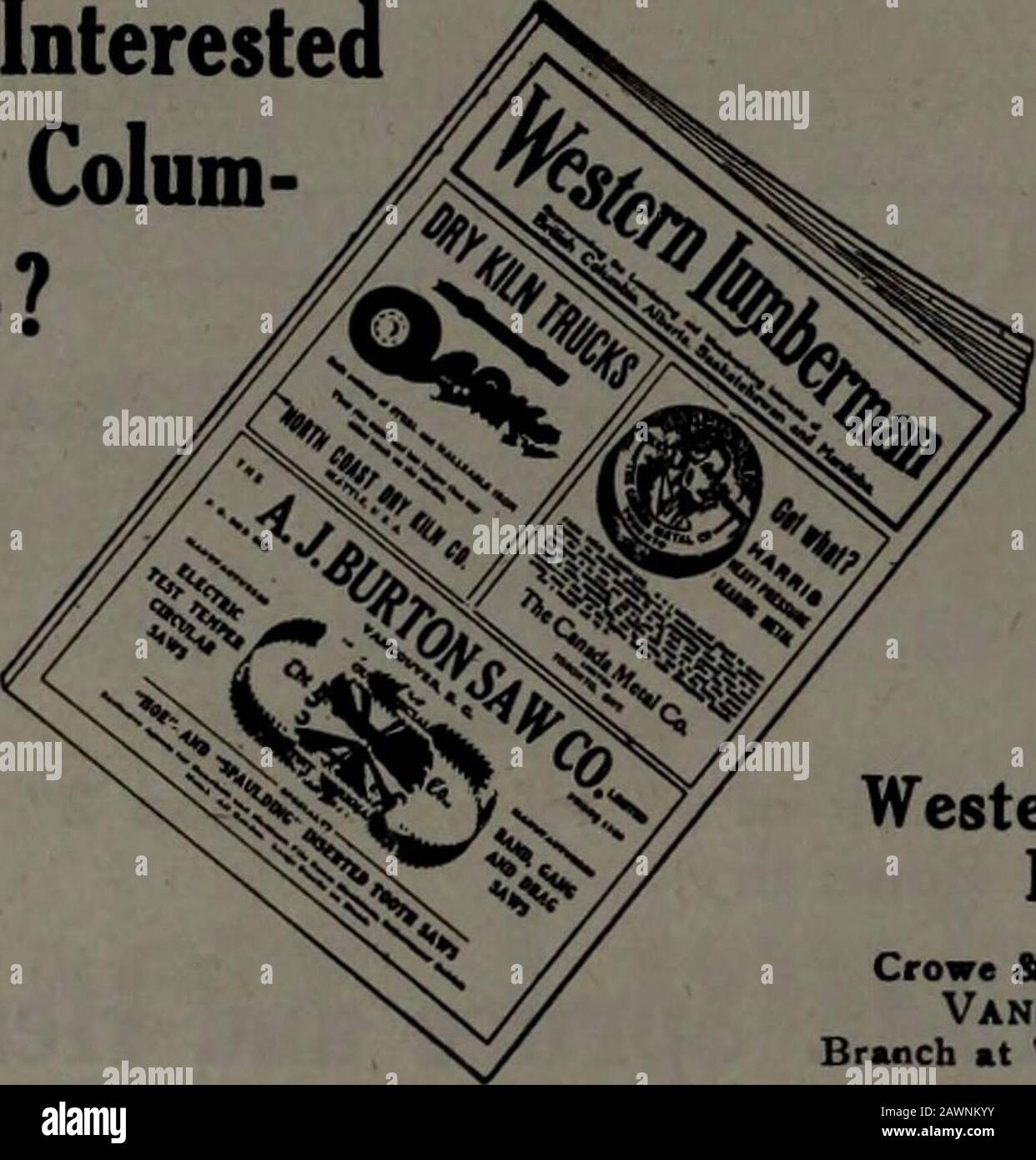 Industrie forestali canadesi luglio-dicembre 1914 . Quando Si Desidera aiutare nel vostro Mill V inserire un annuncio nel REPARTO WANTED & FOR SALE I dipendenti mulino più efficienti in Canada sono regolari rileersof questo documento. Ottenga il la cosa migliore facendo pubblicità. Prezzi su richiesta. Canada Lumberman e Woodworker Montreal Office: 119 Board of Trade Building Toronto, ONT [6 CANADA LUMBERMAN E WOODWORKER FIR TIMBERS HIGH GRADE RED CEDAR SHINGLES LET US QUOTE YOU PRICES TIMS, PHILLIPS & CO.. Ltd Birks Building, VANCOUVER, B. C. Per spedizione Immediata 15.000 piedi di 3 N. 1 C. & B. Maple25.000 piedi di 1 N. 1 C. Foto Stock