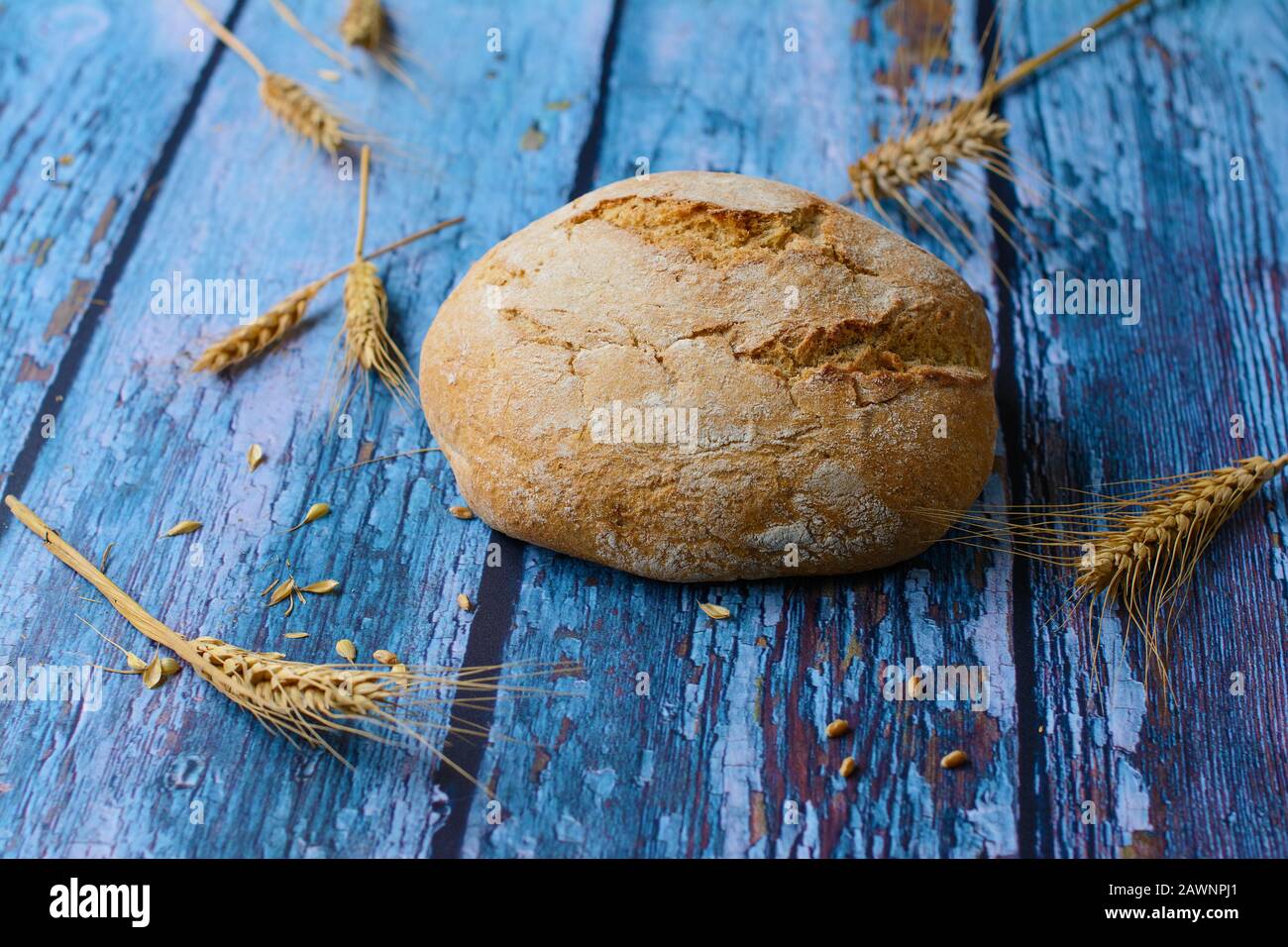 Pane rotondo preparato con farina di grano e di segale su fondo rustico blu. Le spighe di grano, con le guglie, le uova ed i grani, sono sparse intorno al pane. Foto Stock